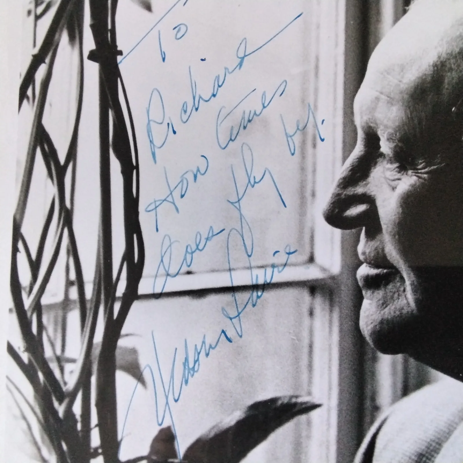 Judson Laire SIGNED Photo Movie TV Actor I Remember Mama Ugly American Dr Malone, изображение 4