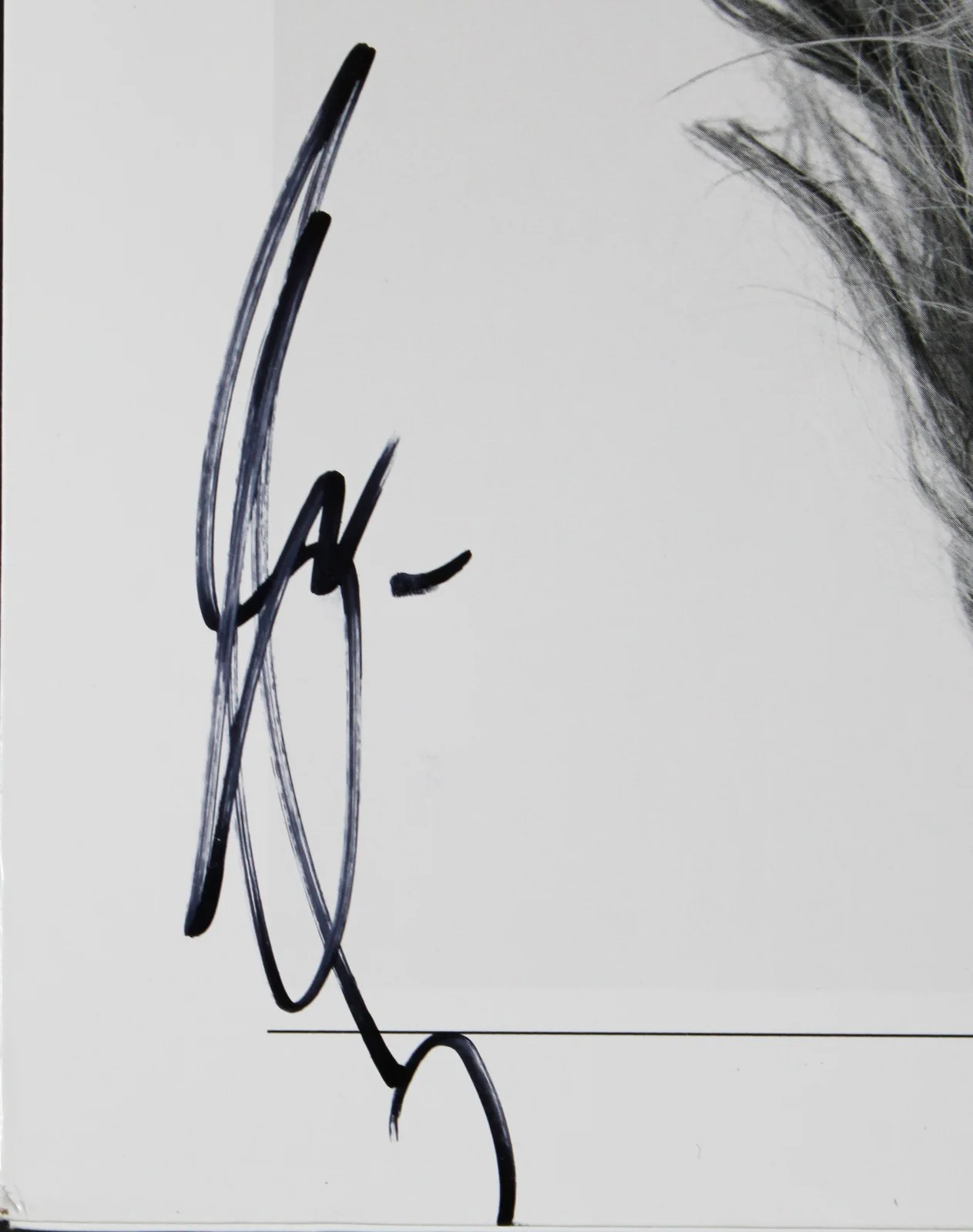 Shania Twain — Shania Twain Authentic Signed Now Album Cover JSA #CF71376, изображение 2
