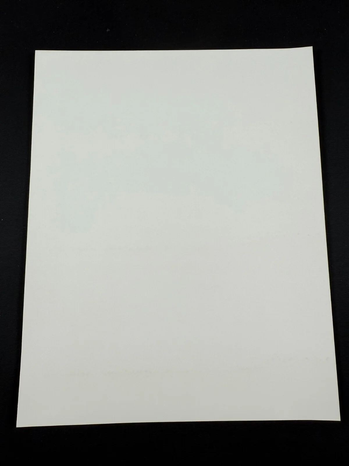 RARE A4 1991 Zandalee B/W Press Scene Print (Joe Pantoliano), image 2