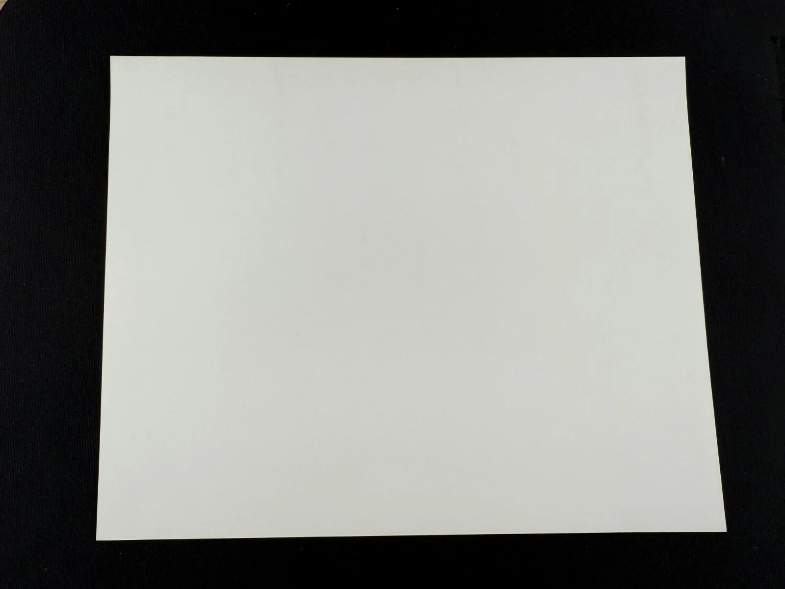 RARE A4 1991 Zandalee B/W Press Scene Print (Nicolas Cage), image 2