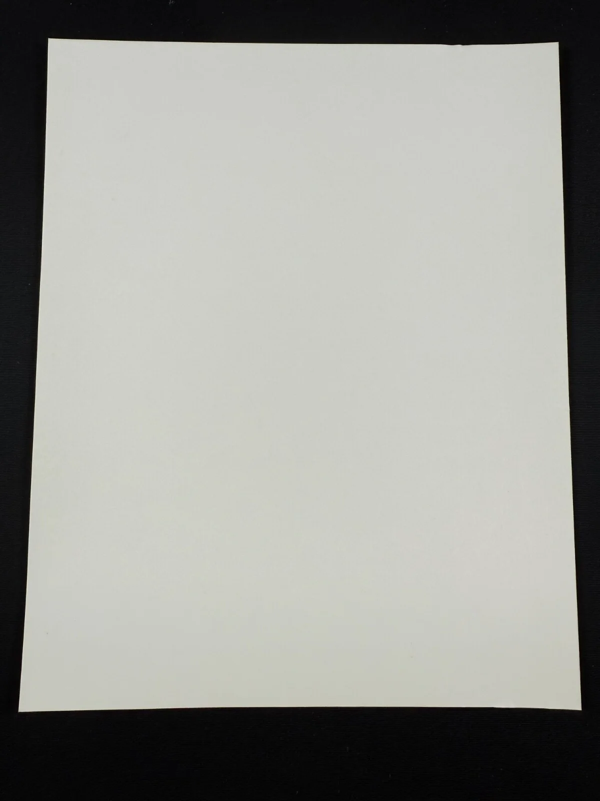 RARE A4 1991 Zandalee B/W Press Scene Print (Nicolas Cage and Erika Anderson), image 2