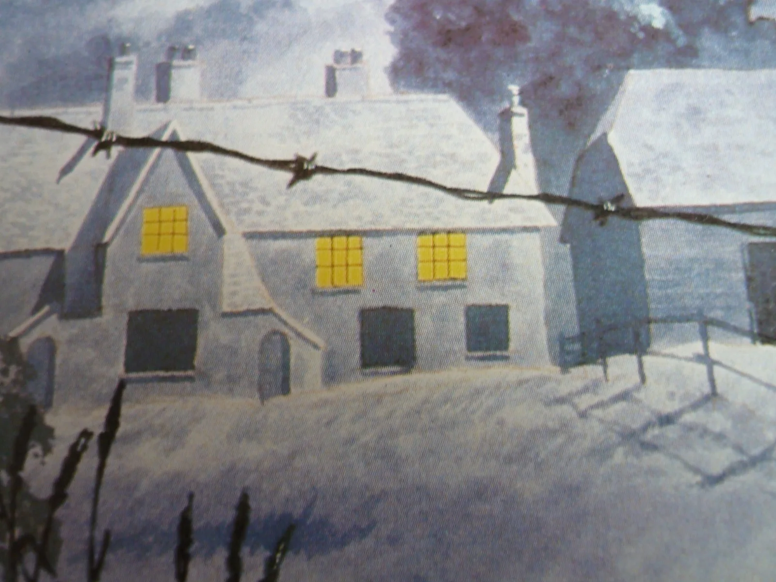 Watership Down framed a4 Richard Adams 1978 Movie scenes moonlight farm, image 2