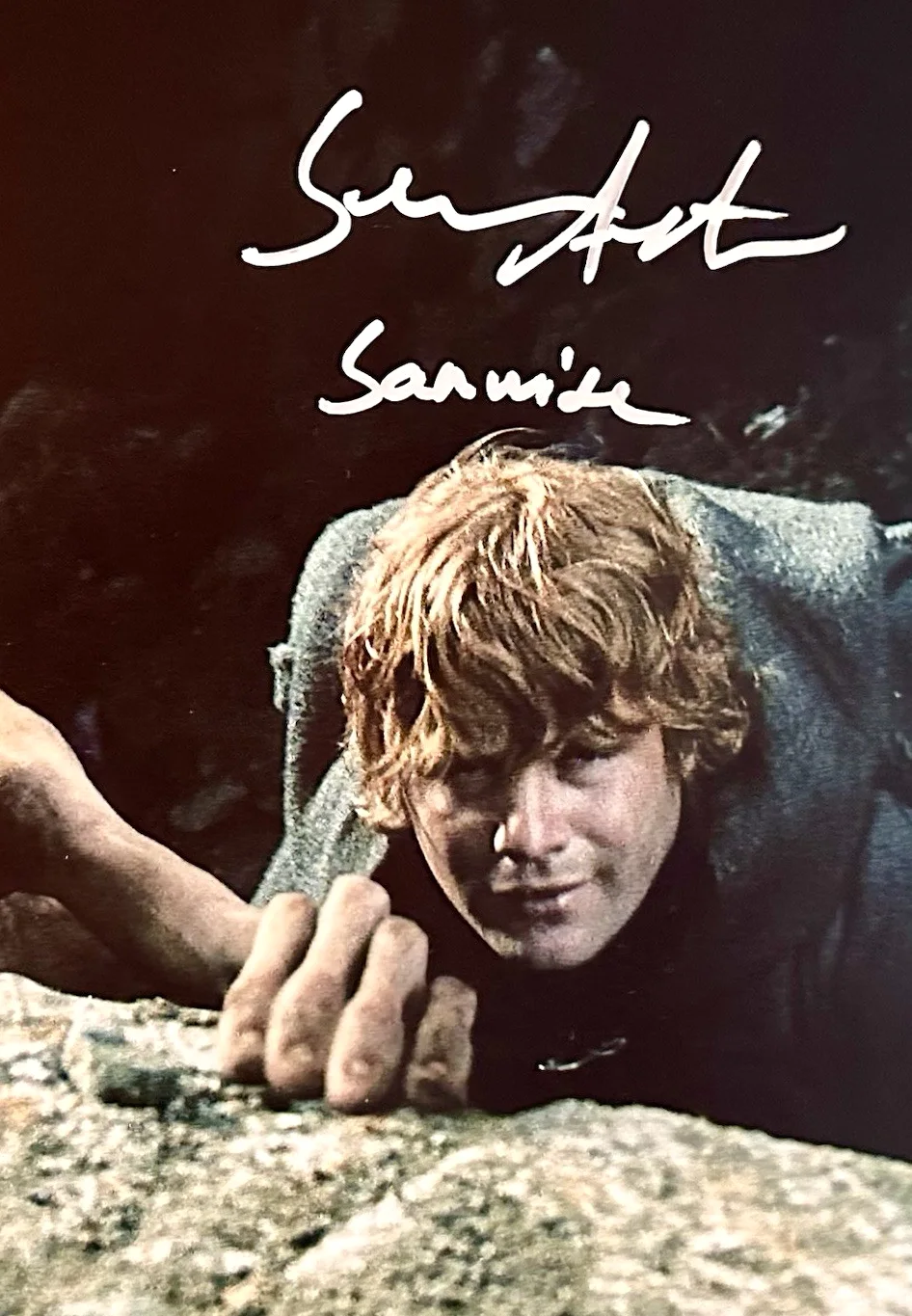 Elijah Wood, Sean Astin — Elijah Wood & Sean Astin SIGNED 11x14 Photo Autograph BAS HOLO Lord Of The Rings, изображение 3