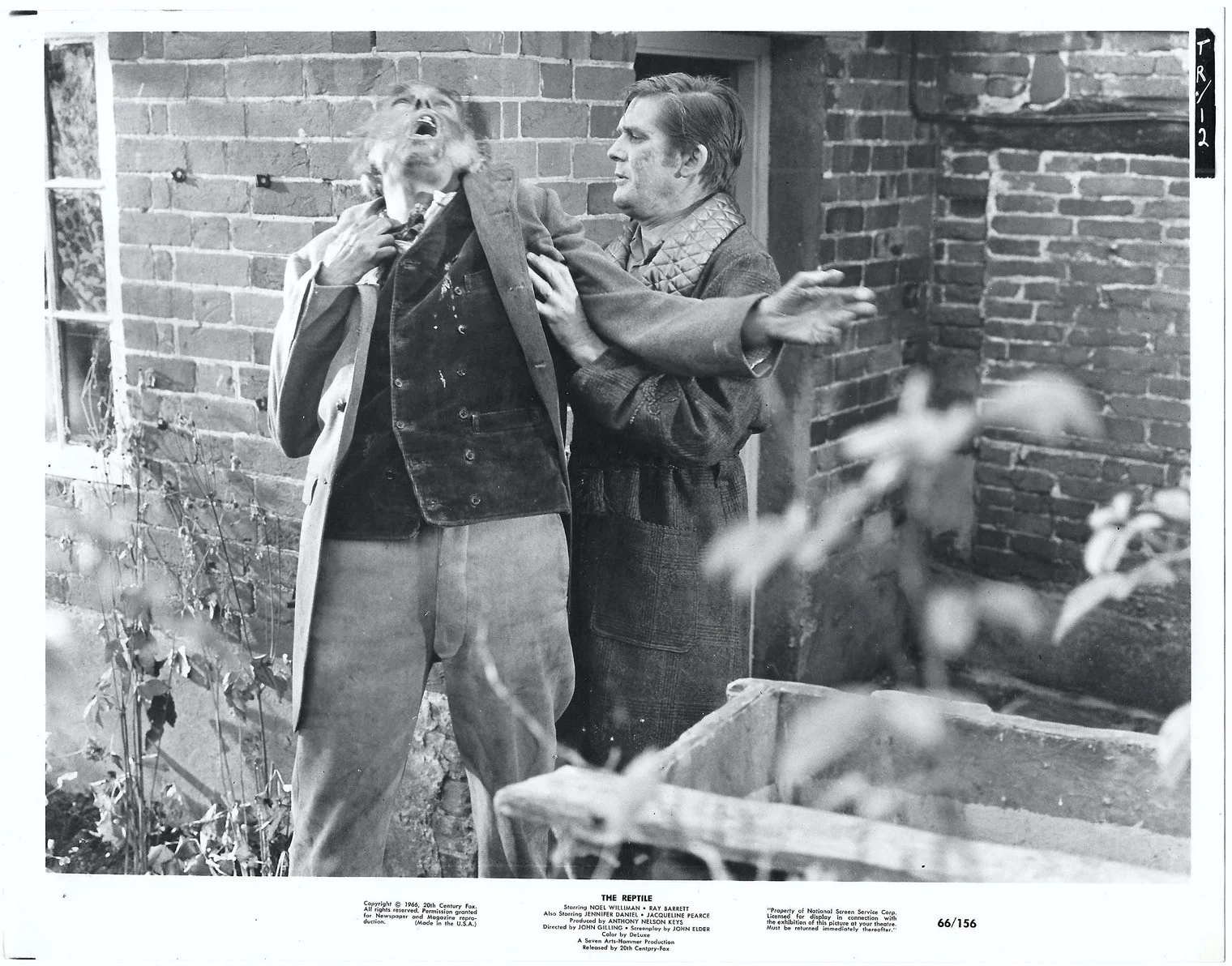 The Reptile 5x ORIGINAL USA Press Studio Stills HAMMER John Gilling 1966, изображение 3
