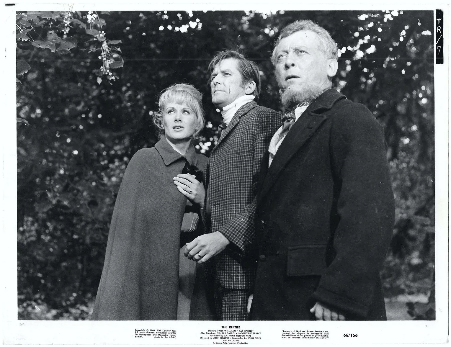 The Reptile 5x ORIGINAL USA Press Studio Stills HAMMER John Gilling 1966, изображение 4
