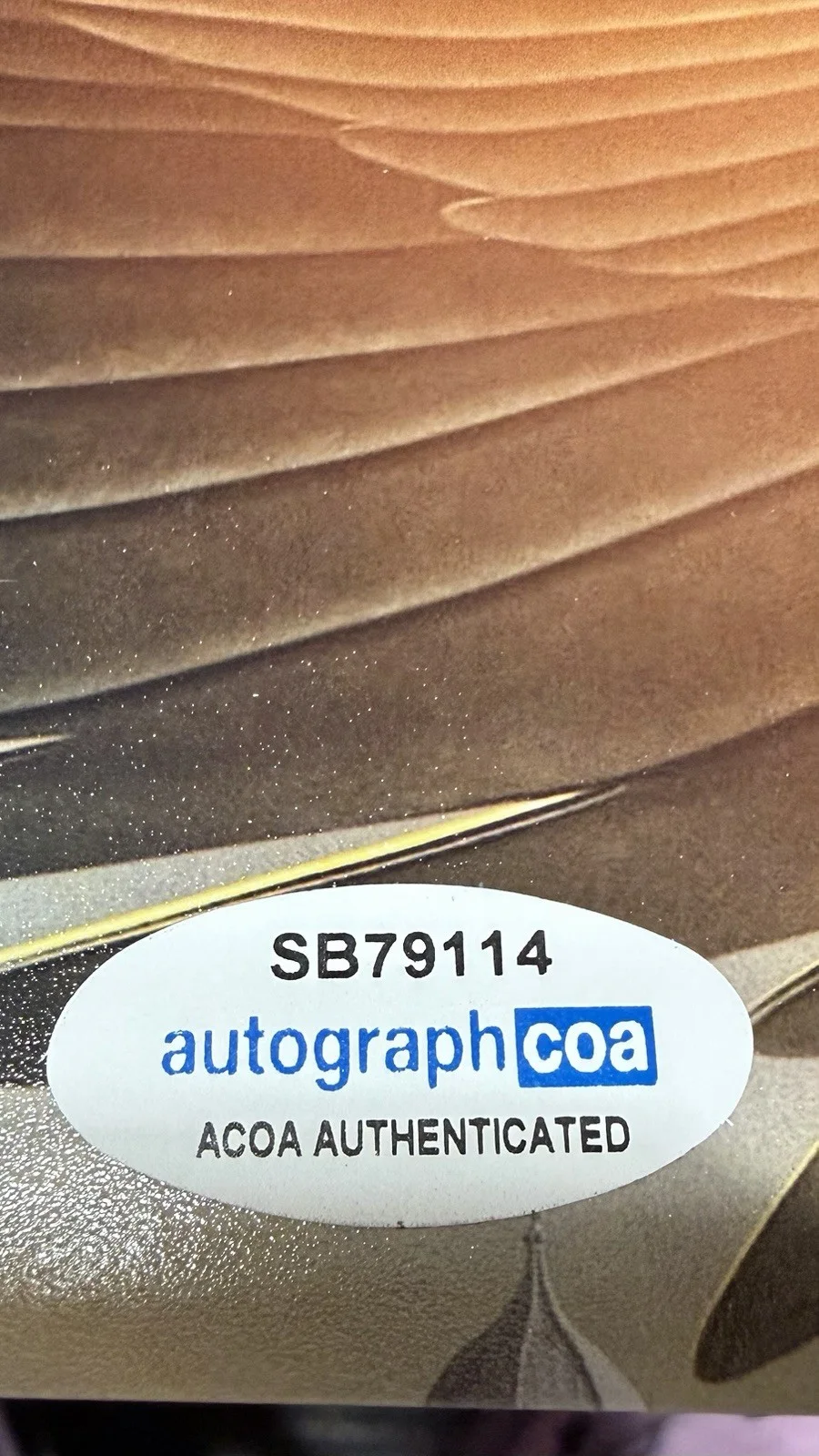 Amir Wilson — Amir Wilson "His Dark Materials" AUTOGRAPH Signed 'Will Parry' 8x10 Photo ACOA, изображение 4