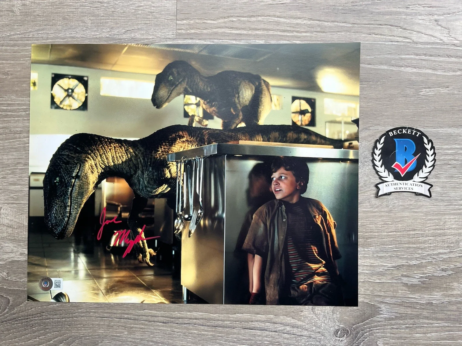 Joseph Mazzello — Joseph Mazzello Signed Jurassic Park 11x14 Photo Beckett COA Tim Murphy