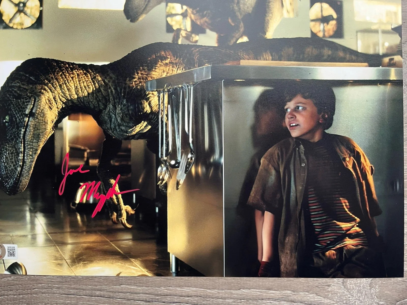 Joseph Mazzello — Joseph Mazzello Signed Jurassic Park 11x14 Photo Beckett COA Tim Murphy, image 3