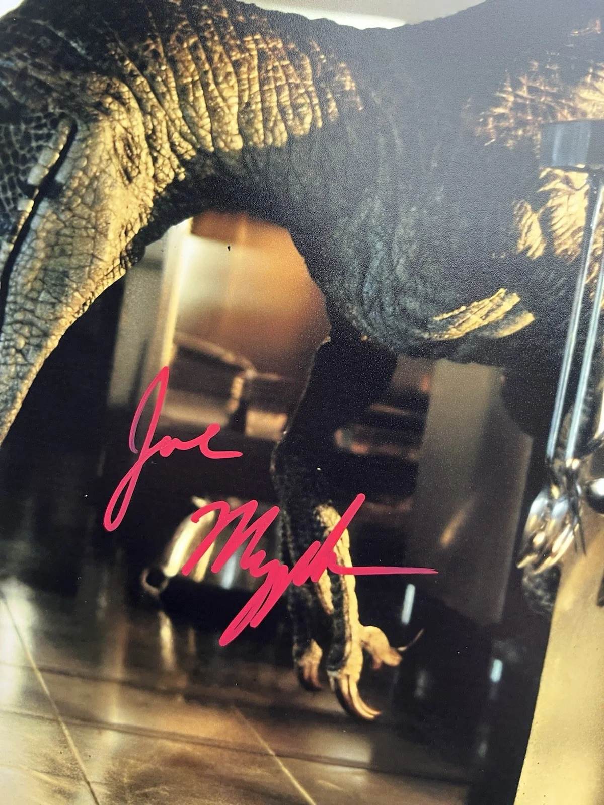 Joseph Mazzello — Joseph Mazzello Signed Jurassic Park 11x14 Photo Beckett COA Tim Murphy, image 4
