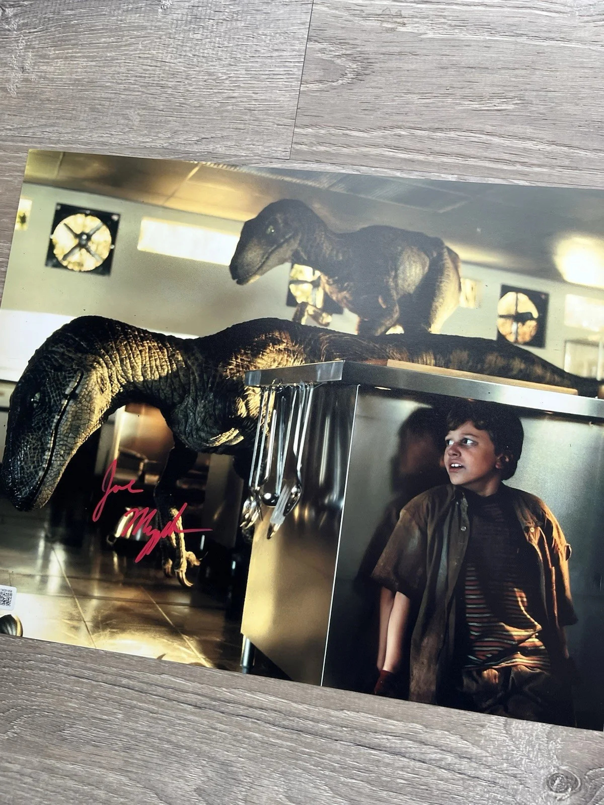 Joseph Mazzello — Joseph Mazzello Signed Jurassic Park 11x14 Photo Beckett COA Tim Murphy, image 5