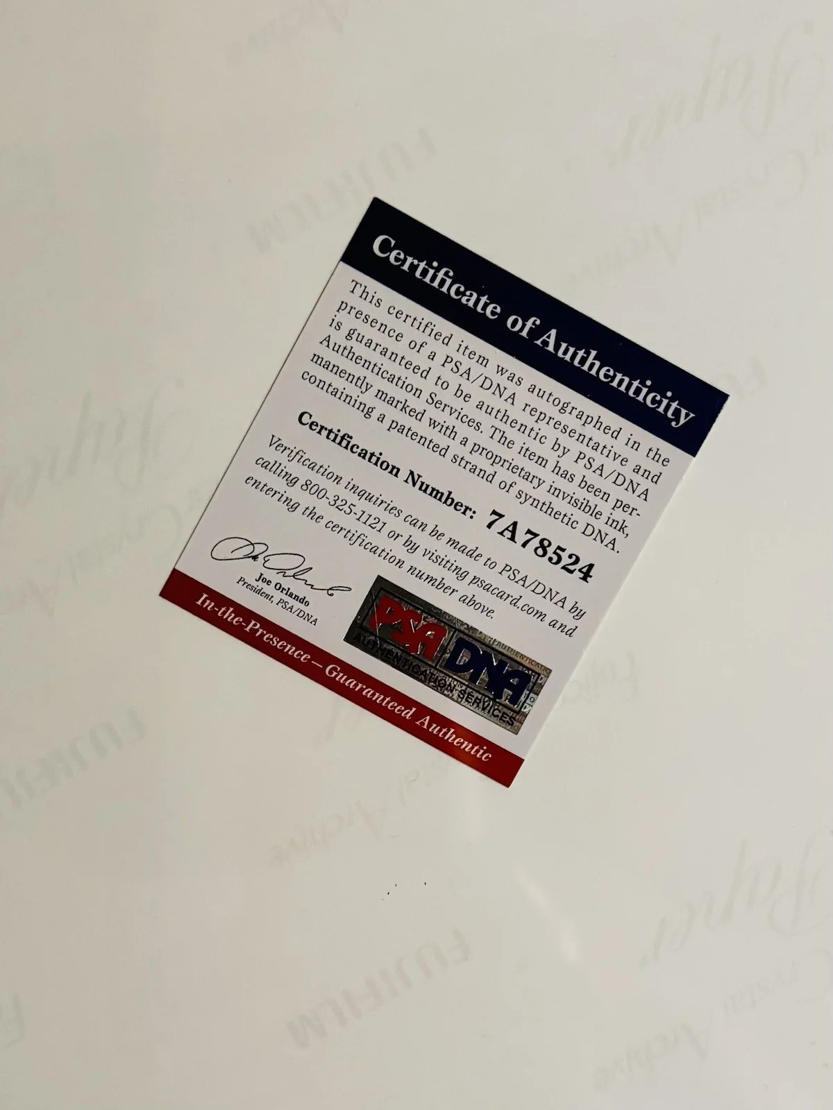 Lucy Hale Signed 11x14 PSA, image 3