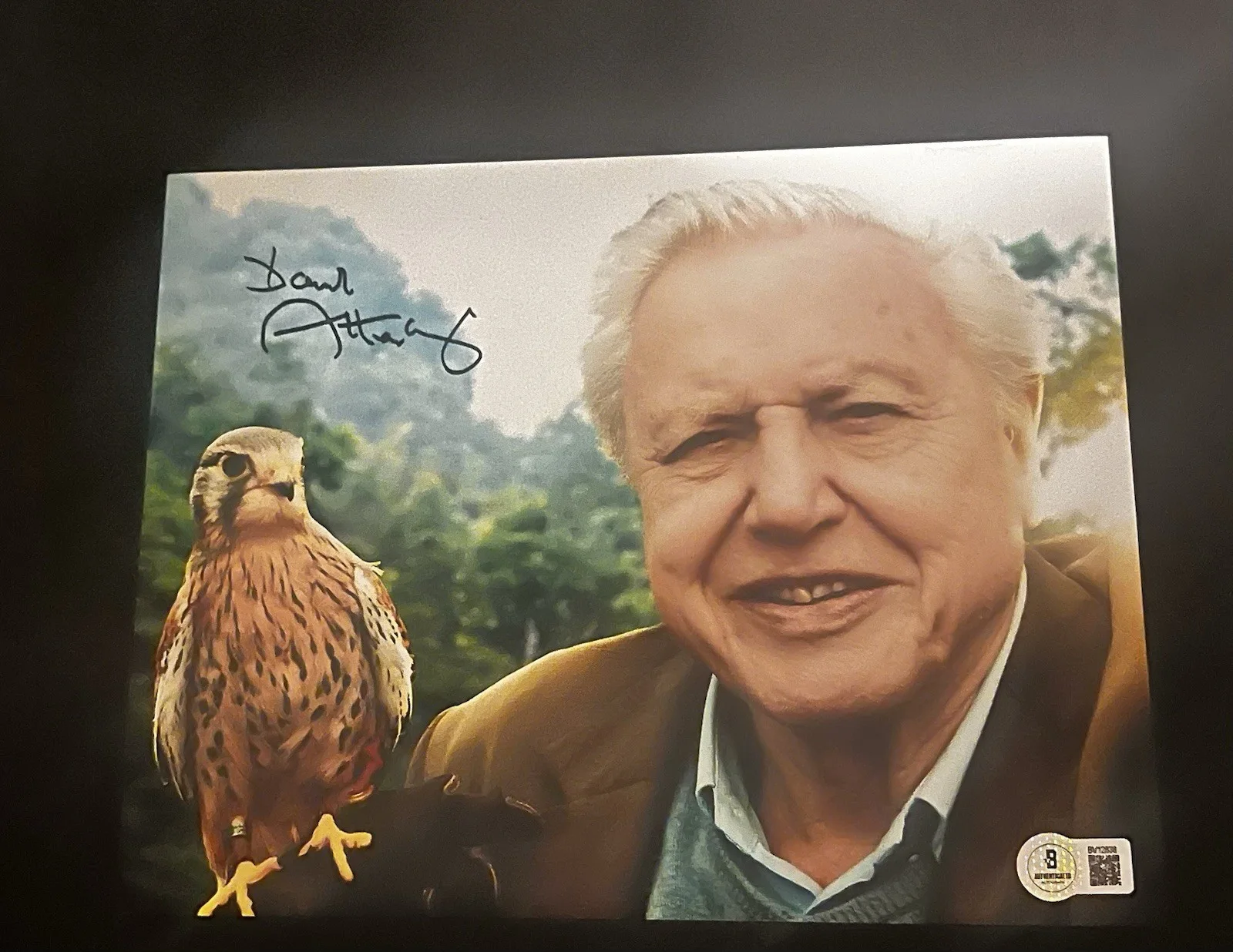 David Attenborough — David Attenborough Rare autographed signed Historian 8x10 photo Beckett BAS coa