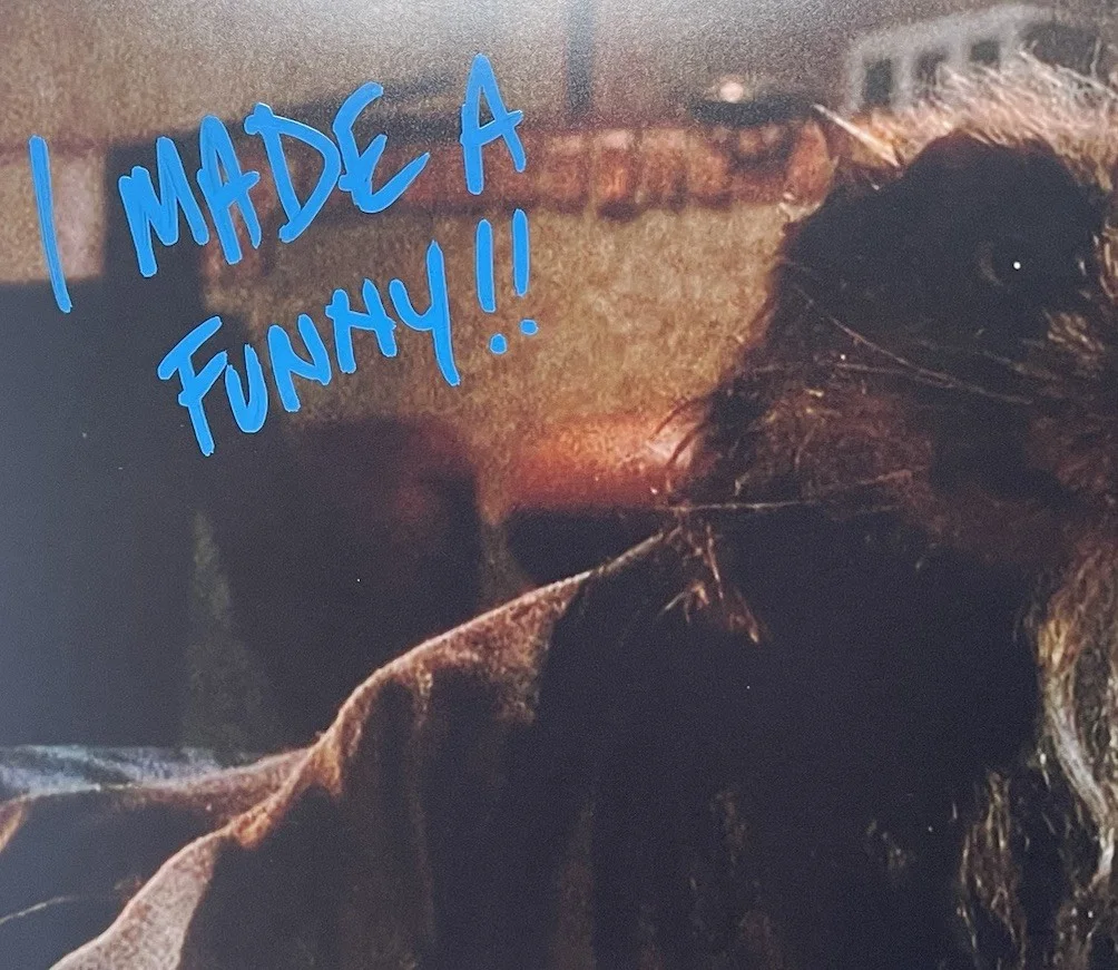 Kevin Clash — Kevin Clash Hand Signed 11x14 Photo JSA Authentic Splinter TMNT 2 + Inscription, image 4