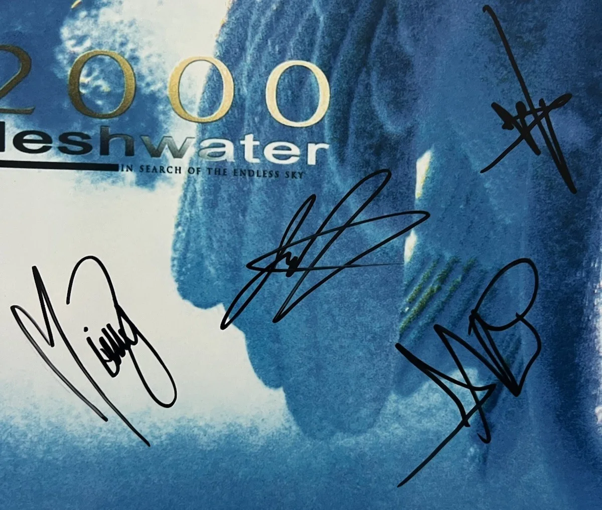 Fleshwater Band Signed 8x10 Photo Rock Band Autograph Marisa Shirar, image 2