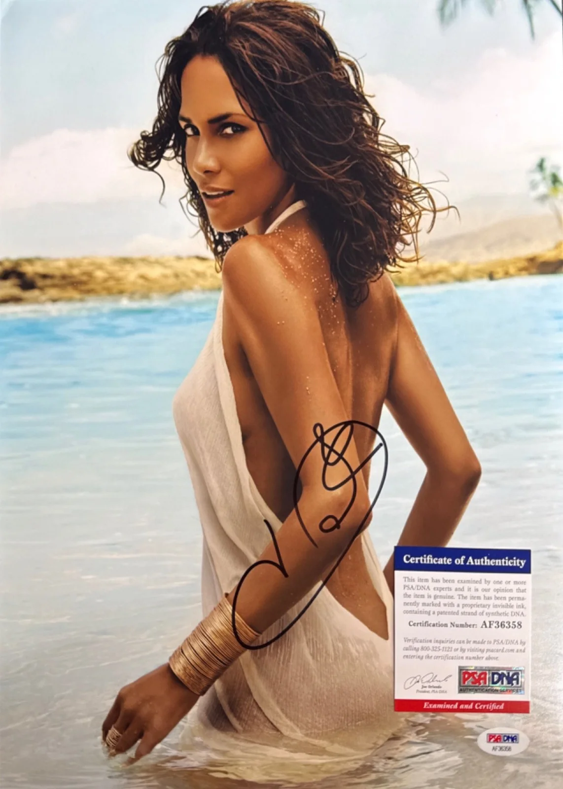 Halle Berry — Halle Berry Signed 11x14 Sexy Photo PSA AF36358, изображение 2