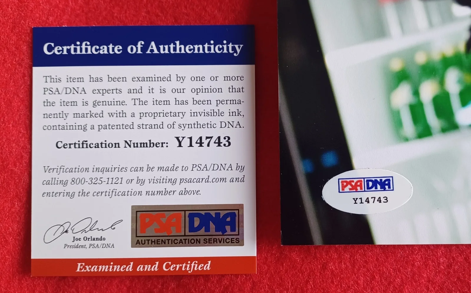 Robert Downey Jr — Robert Downey Jr Signed Photo, PSA/DNA, image 3