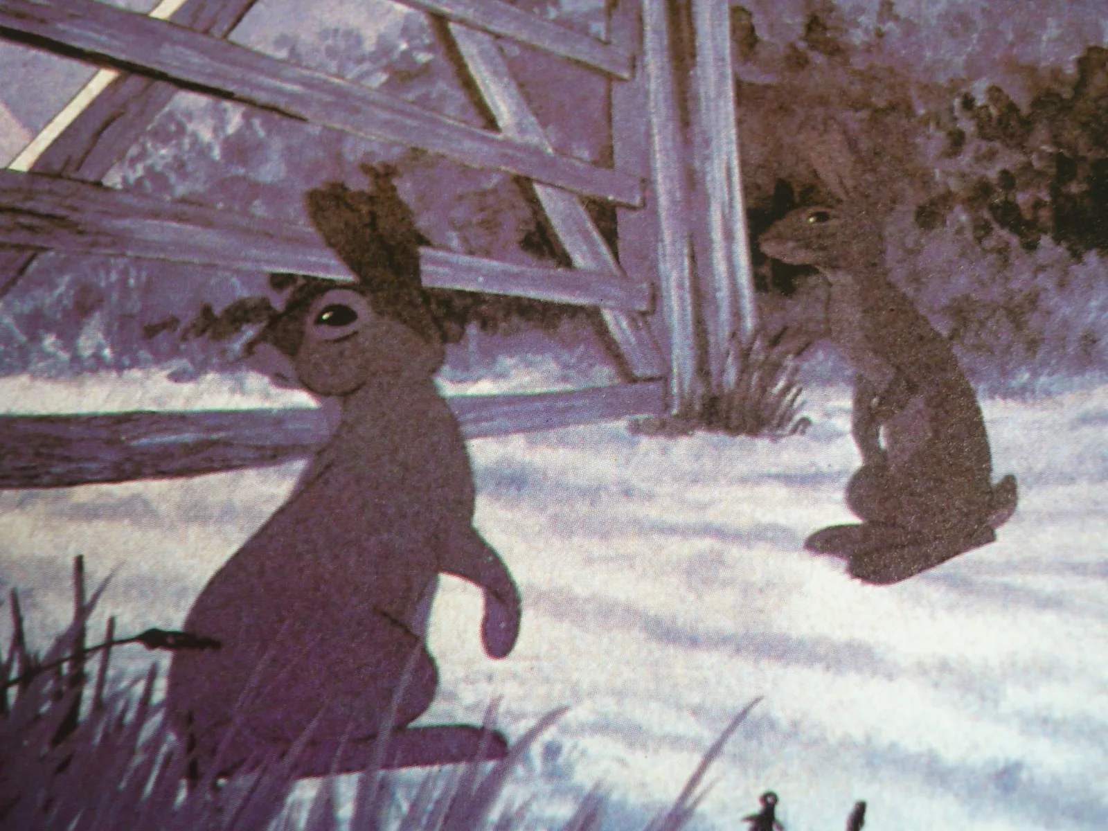 Watership Down framed a4 Richard Adams 1978 Movie scenes moonlight gate rabbits, image 2