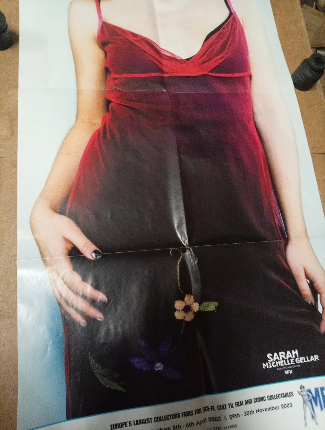 Sarah Michelle Gellar Poster Form Sci Fi Convention 2003, image 4