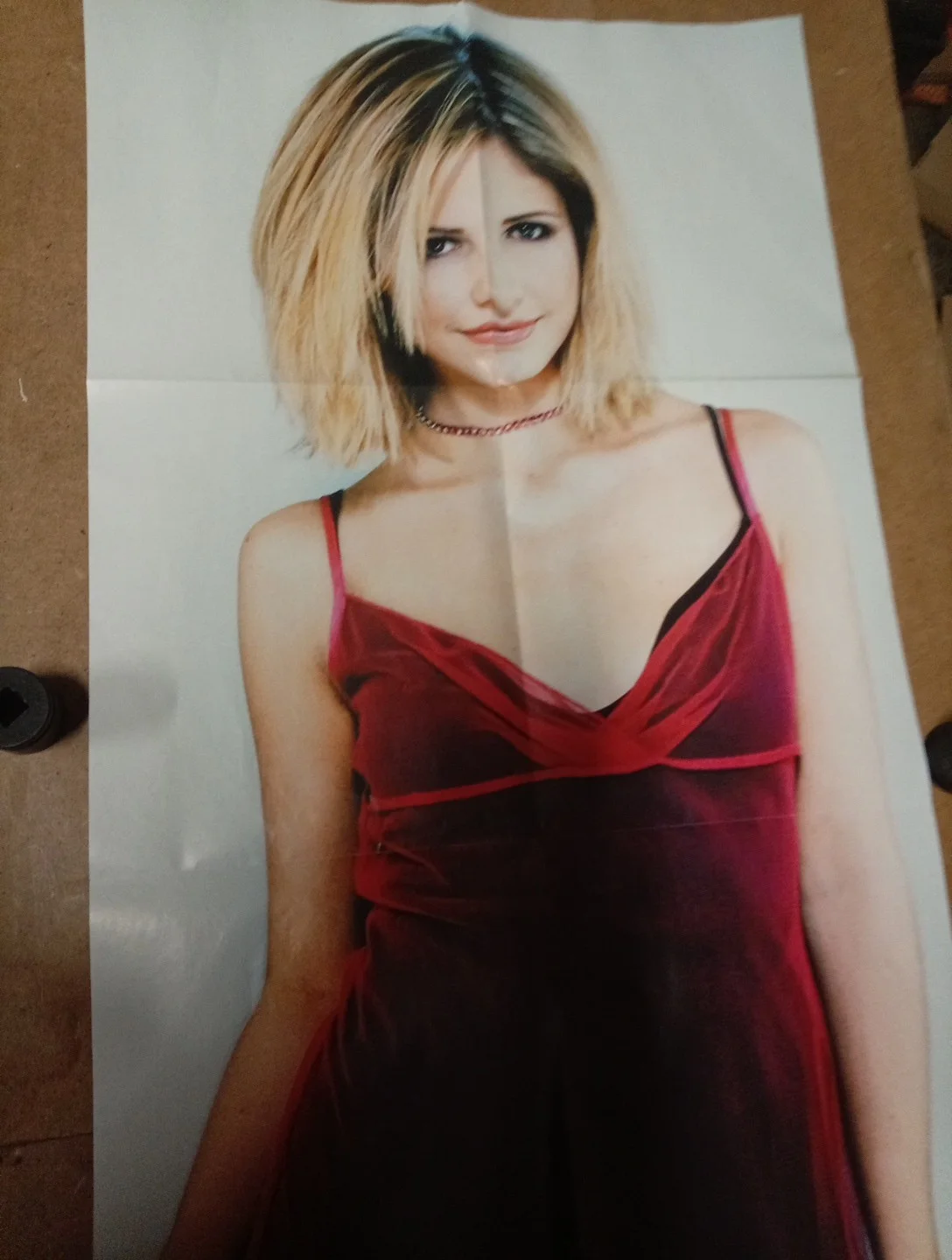 Sarah Michelle Gellar Poster Form Sci Fi Convention 2003, image 5