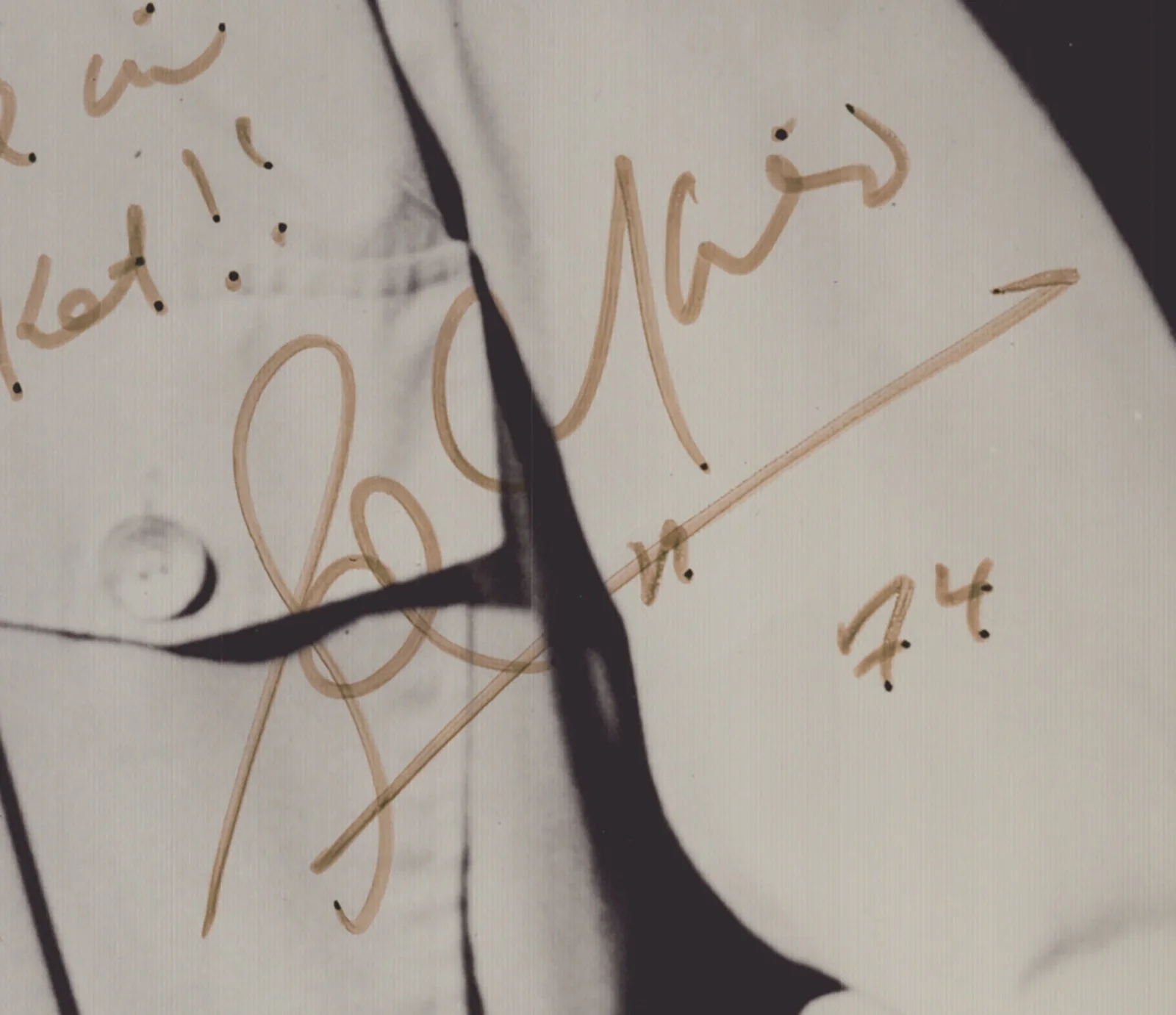 Sal Mineo — SAL MINEO - AUTOGRAPHED INSCRIBED PHOTOGRAPH 1974, image 2