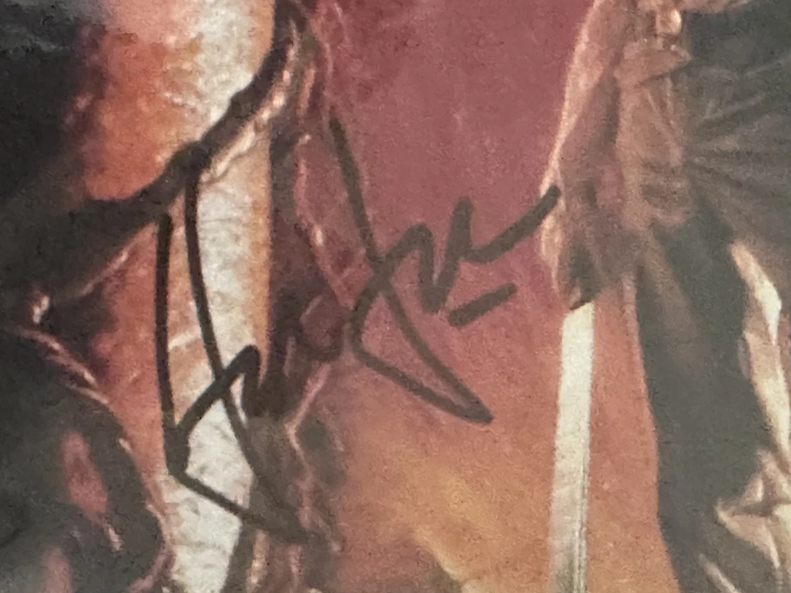 Harrison Ford — HARRISON FORD Signed Indiana Jones 8.5x11 Photograph - Authenticated Autograph!, изображение 2
