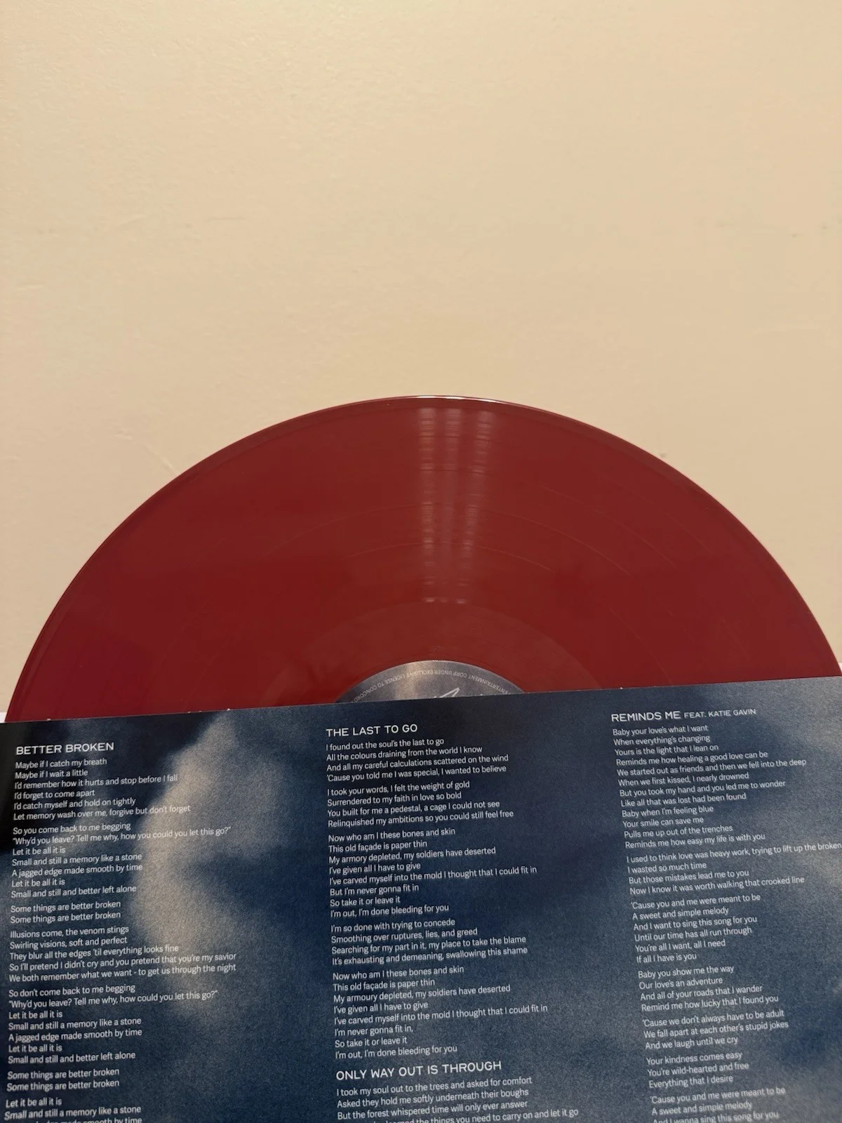 Sarah McLachlan Better Broken Vinyl LP AUTOGRAPHED Gold pen SIGNED Cover NYC Red, изображение 4