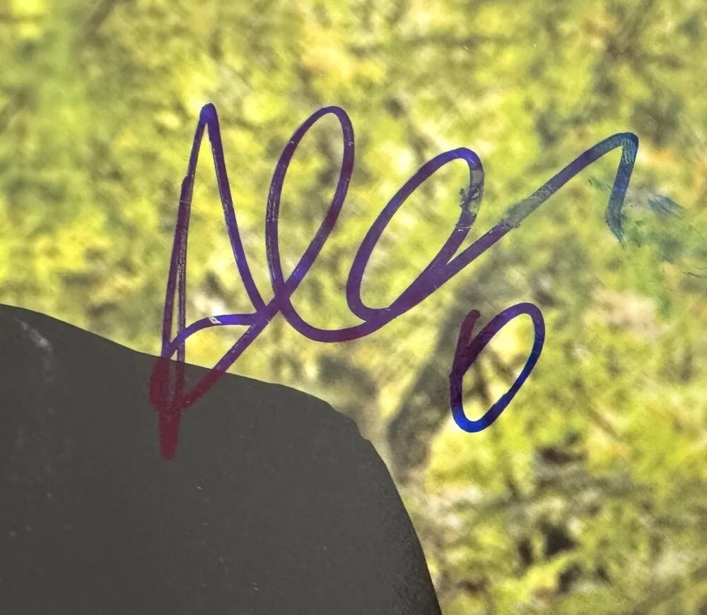 Drake — Aubrey Graham - Drake Signed Autograph Album Vinyl Record - Comeback Season JSA, image 3