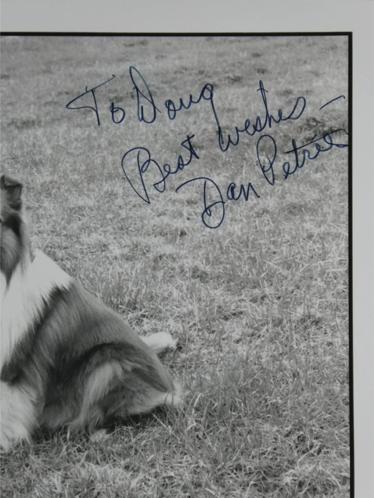 Daniel Petrie — Daniel Petrie Signed B&W 8x10 Promo Photo Lassie Director Personalized To Doug, image 2