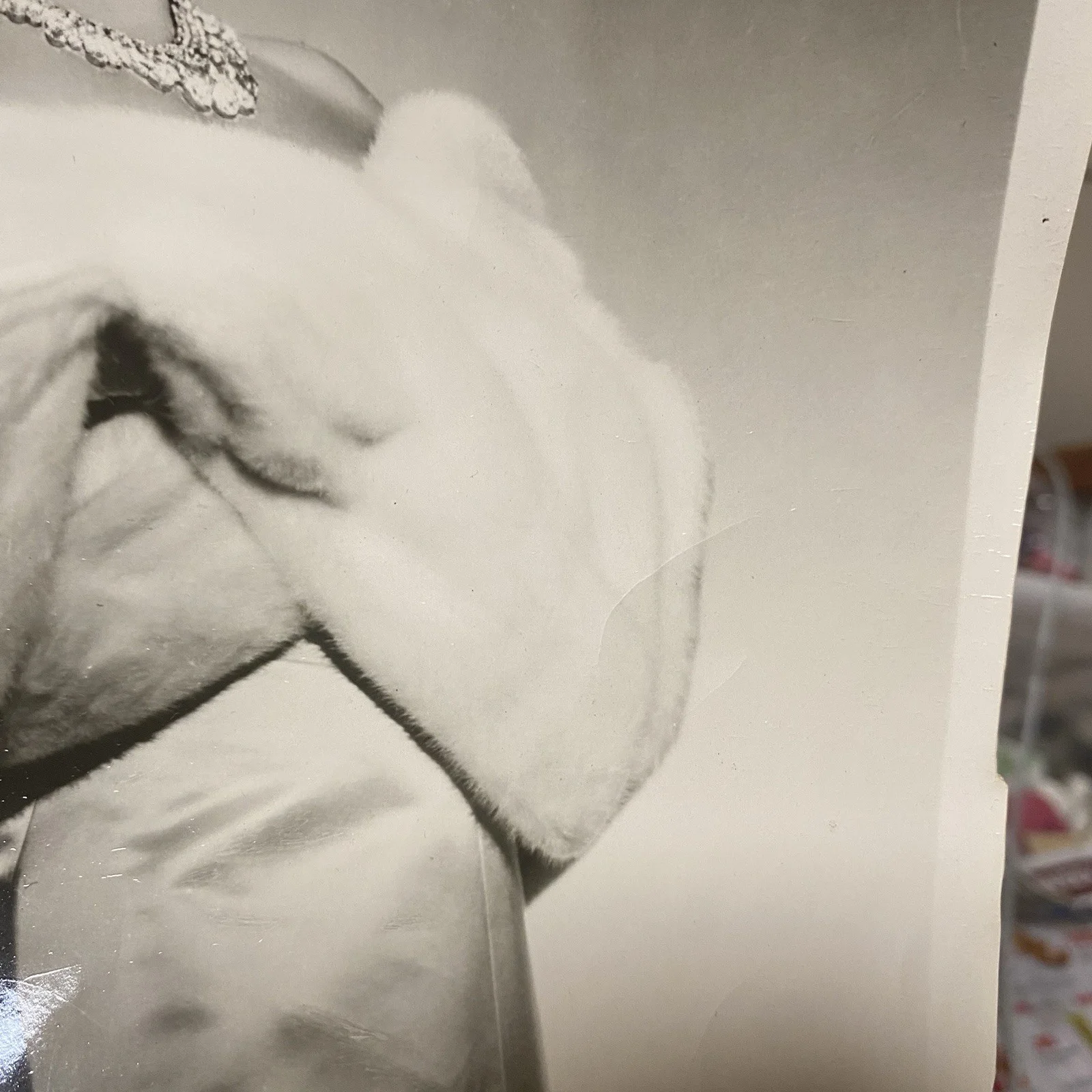 Vintage 1950s Mae West Photo SIGNED Autographed Come Up See Me Sometime with COA, image 3