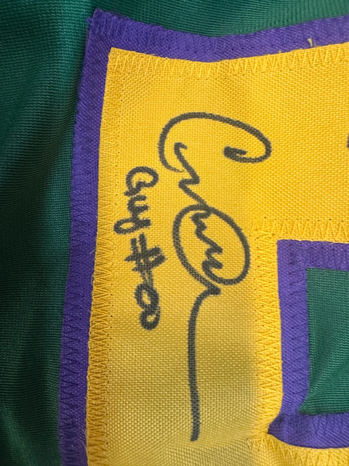 Guy Germaine Shaun Weiss Marguerite Moreau Danny Tamberelli — Mighty Ducks Customed Signed Jersey by 6 JSA Weiss Moreau Germaine Tamberelli, изображение 4