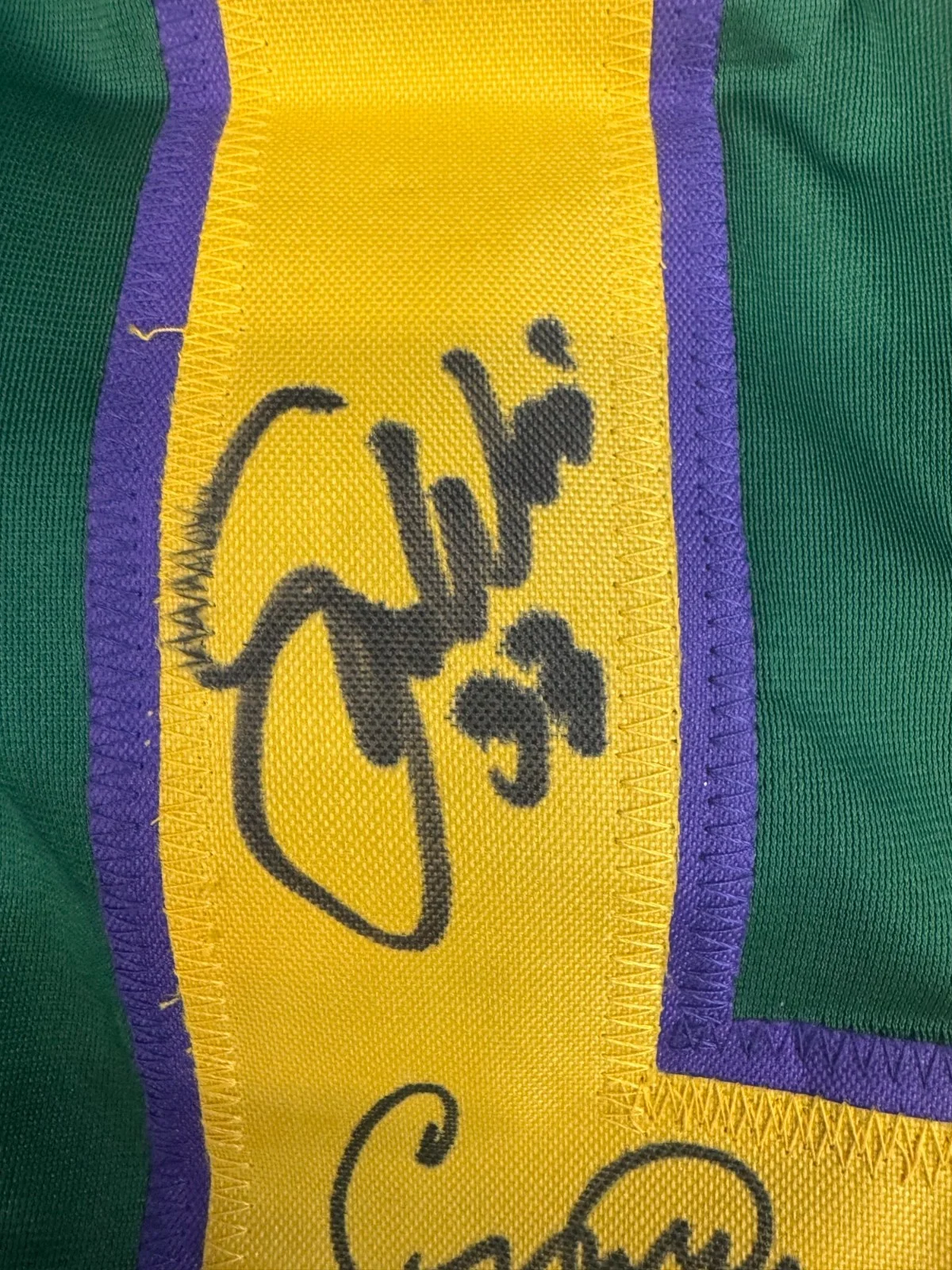 Guy Germaine Shaun Weiss Marguerite Moreau Danny Tamberelli — Mighty Ducks Customed Signed Jersey by 6 JSA Weiss Moreau Germaine Tamberelli, изображение 5