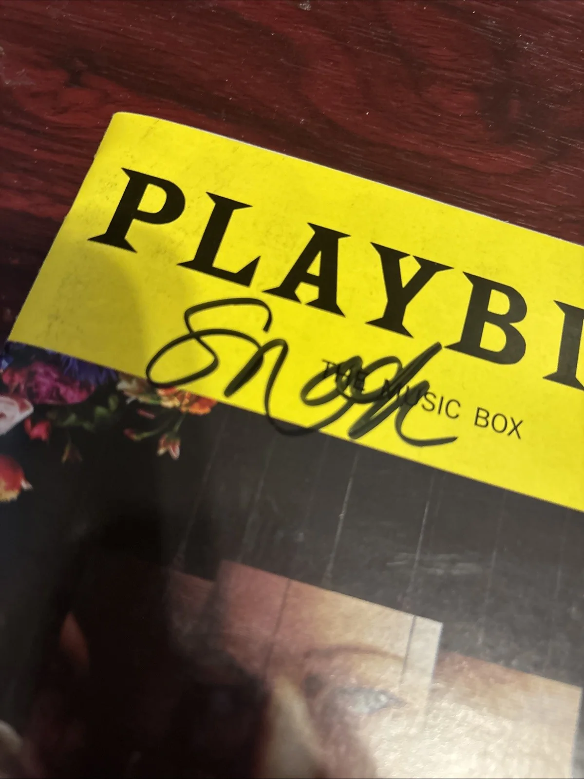 Sarah Snook — Sarah Snook signed The Picture of Dorian Gray Signed Broadway Playbill, image 2