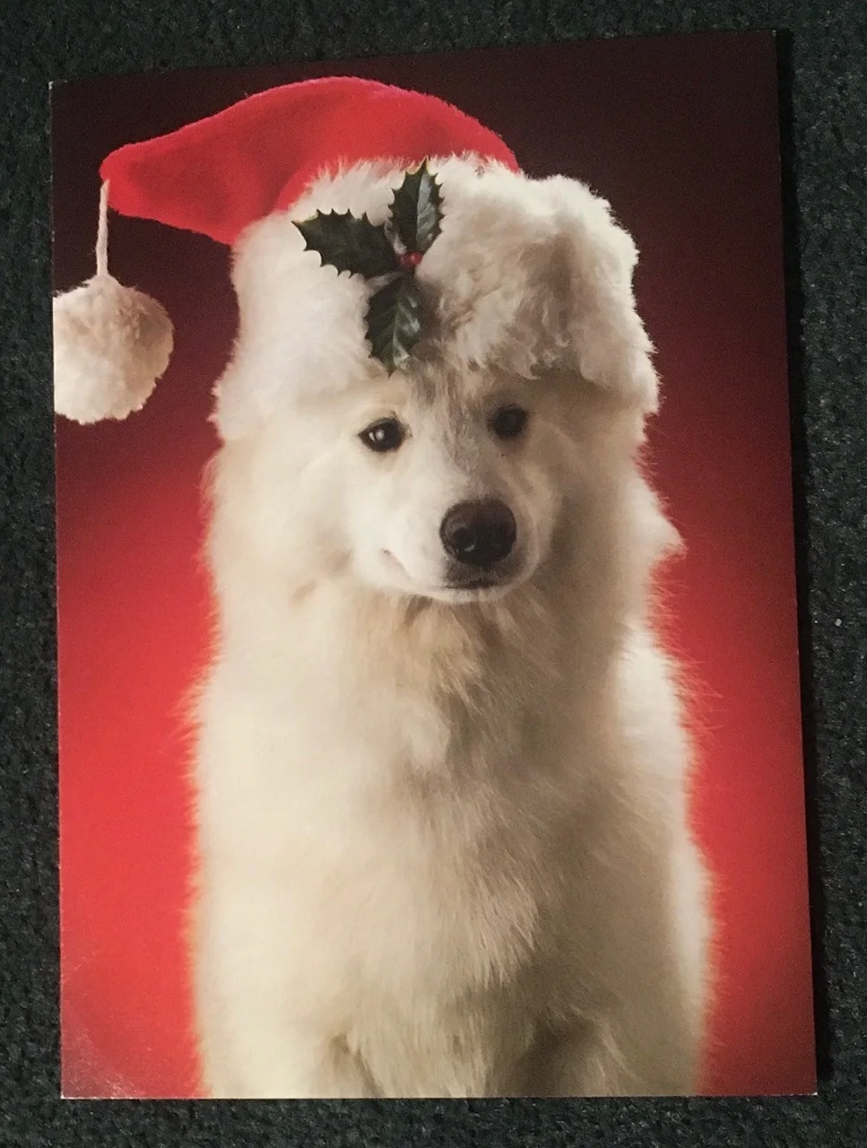 Gregpry Jein — FILM EFFECTS WIZARD GREG JEIN AUTOGRAPHED XMAS CARD! STAR WARS! STAR TREK! CE3K!, image 2