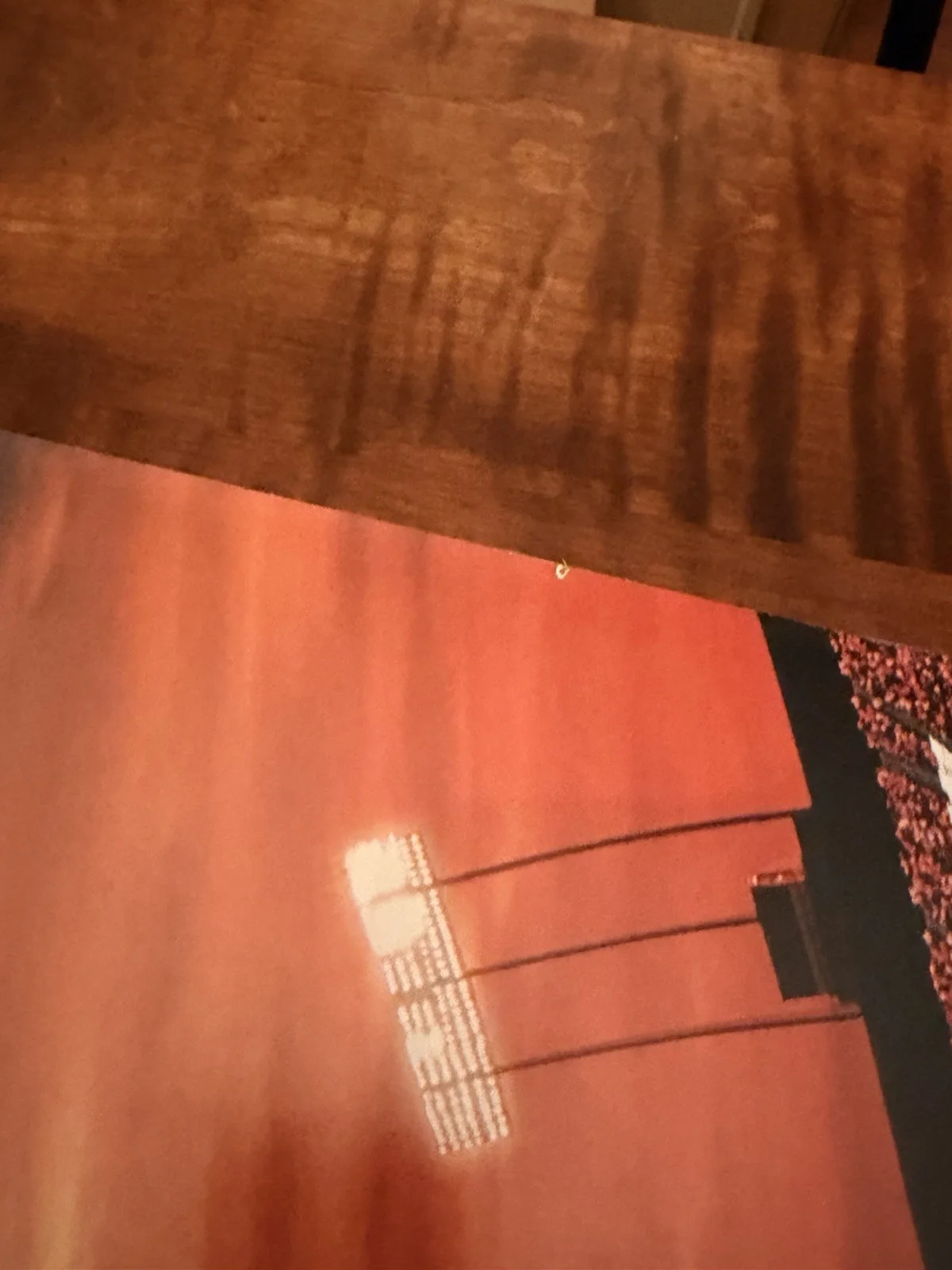ADAM SANDLER SIGNED THE WATERBOY ORIGINAL D/S 27x40 FULL SIZE POSTER - JSA COA, изображение 4