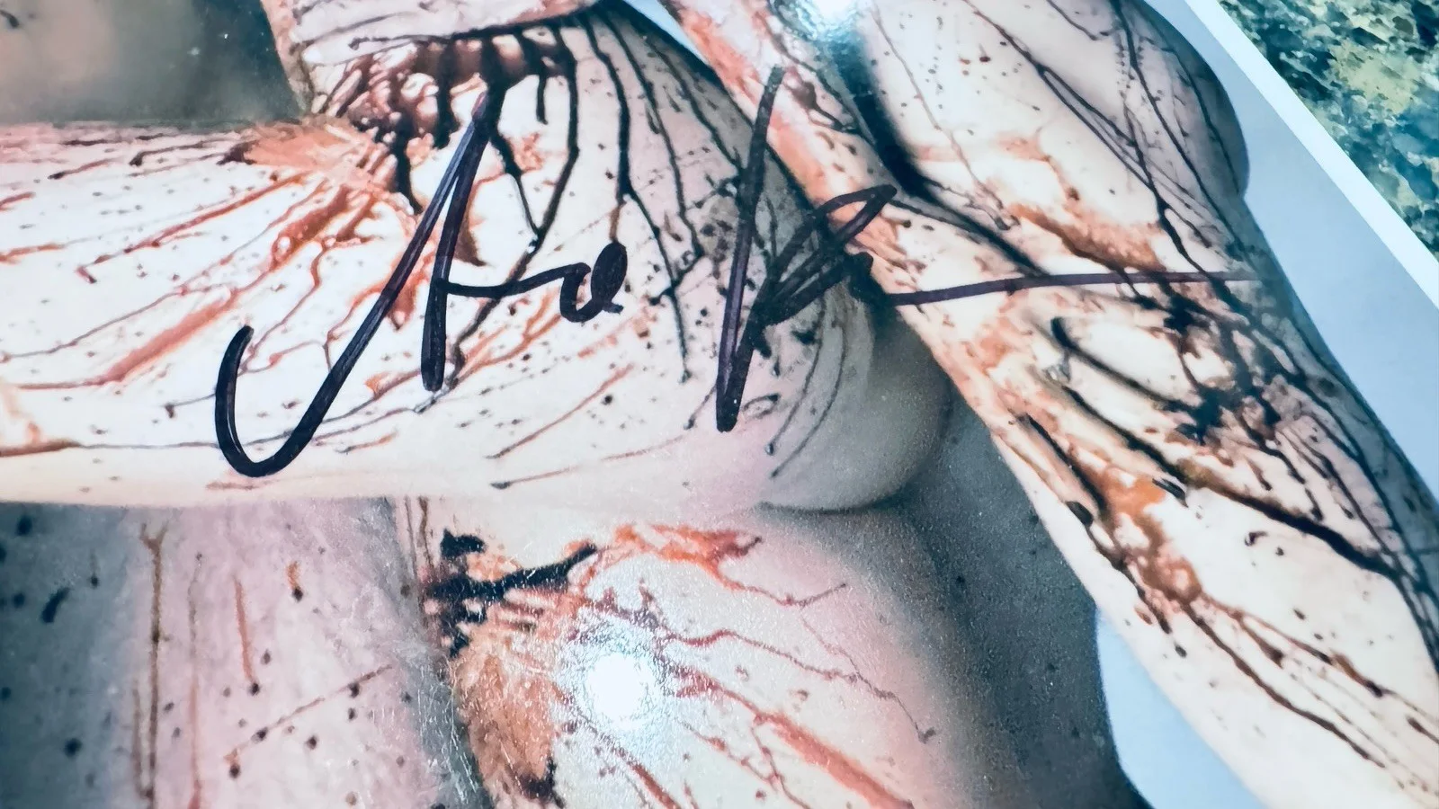 Anna Paquin Alexander Skarsgard Stephen Moyer - TRUE BLOOD - signed 8 x 10, image 5