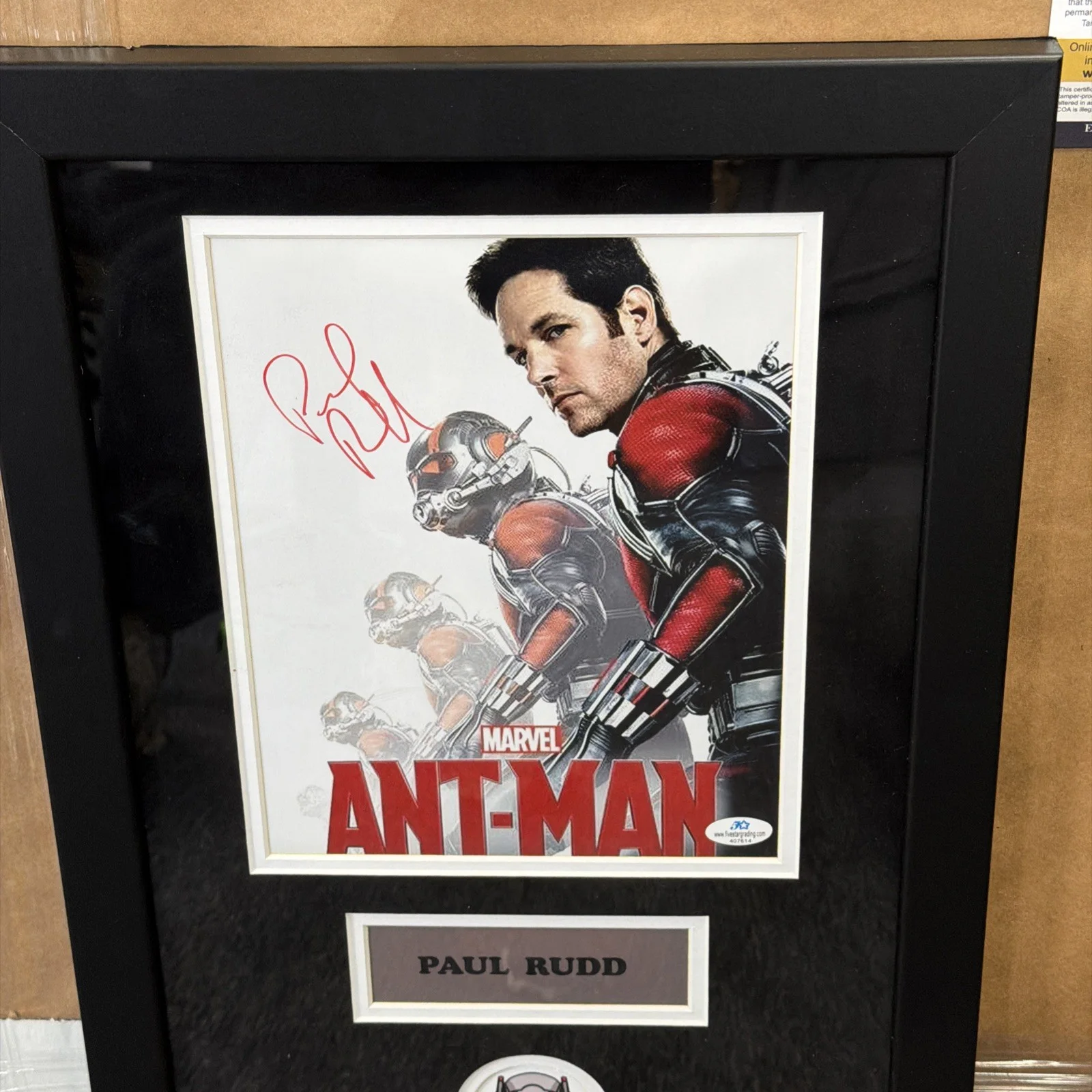 Paul Rudd — Paul Rudd Signed Photo Ant-Man Autographed Framed 14x20 w/COA, изображение 2
