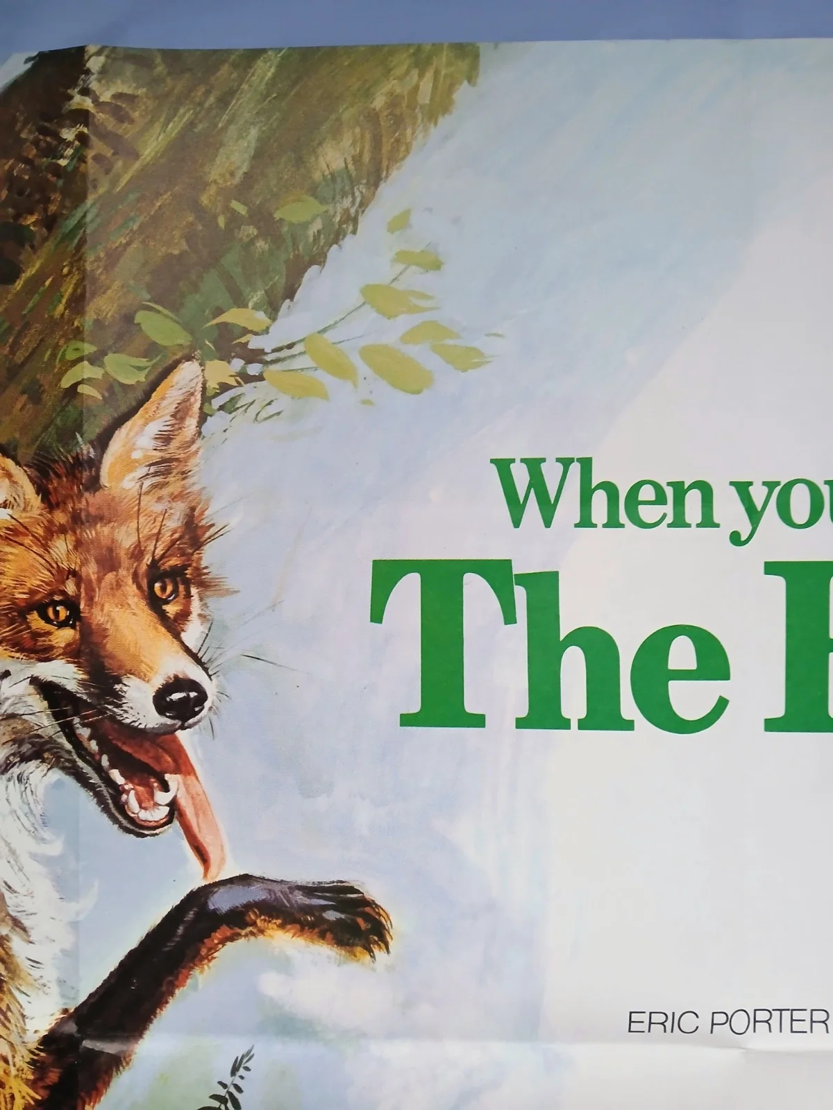 THE BELSTONE FOX (1973) original UK quad poster - Brian Bysouth art, изображение 3