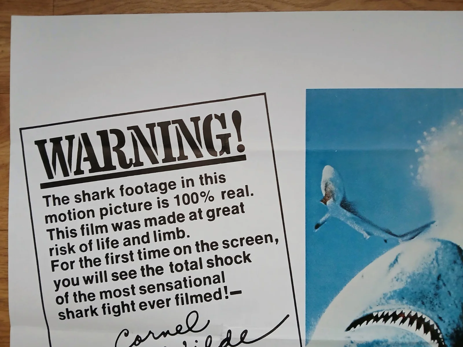 SHARKS' TREASURE (1975) original UK quad poster - Cornel Wilde scuba thriller, image 2