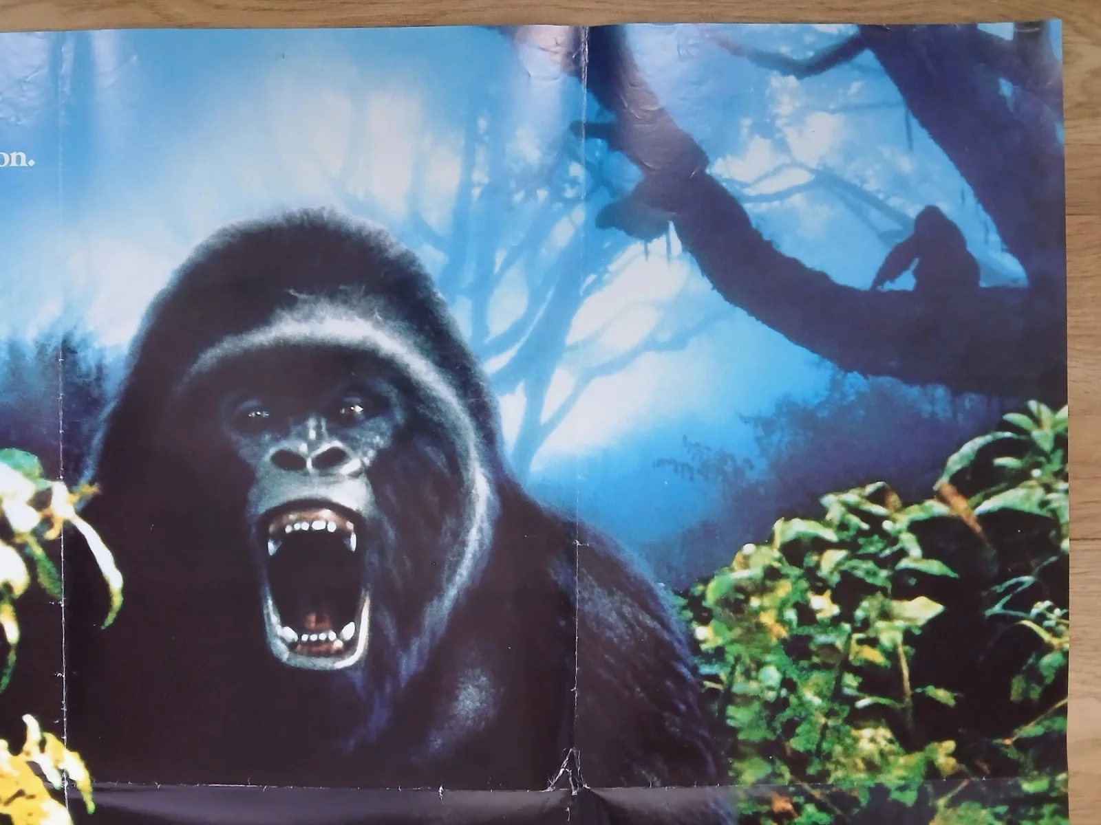 GORILLAS IN THE MIST (1988) original UK quad poster - Sigourney Weaver, изображение 3