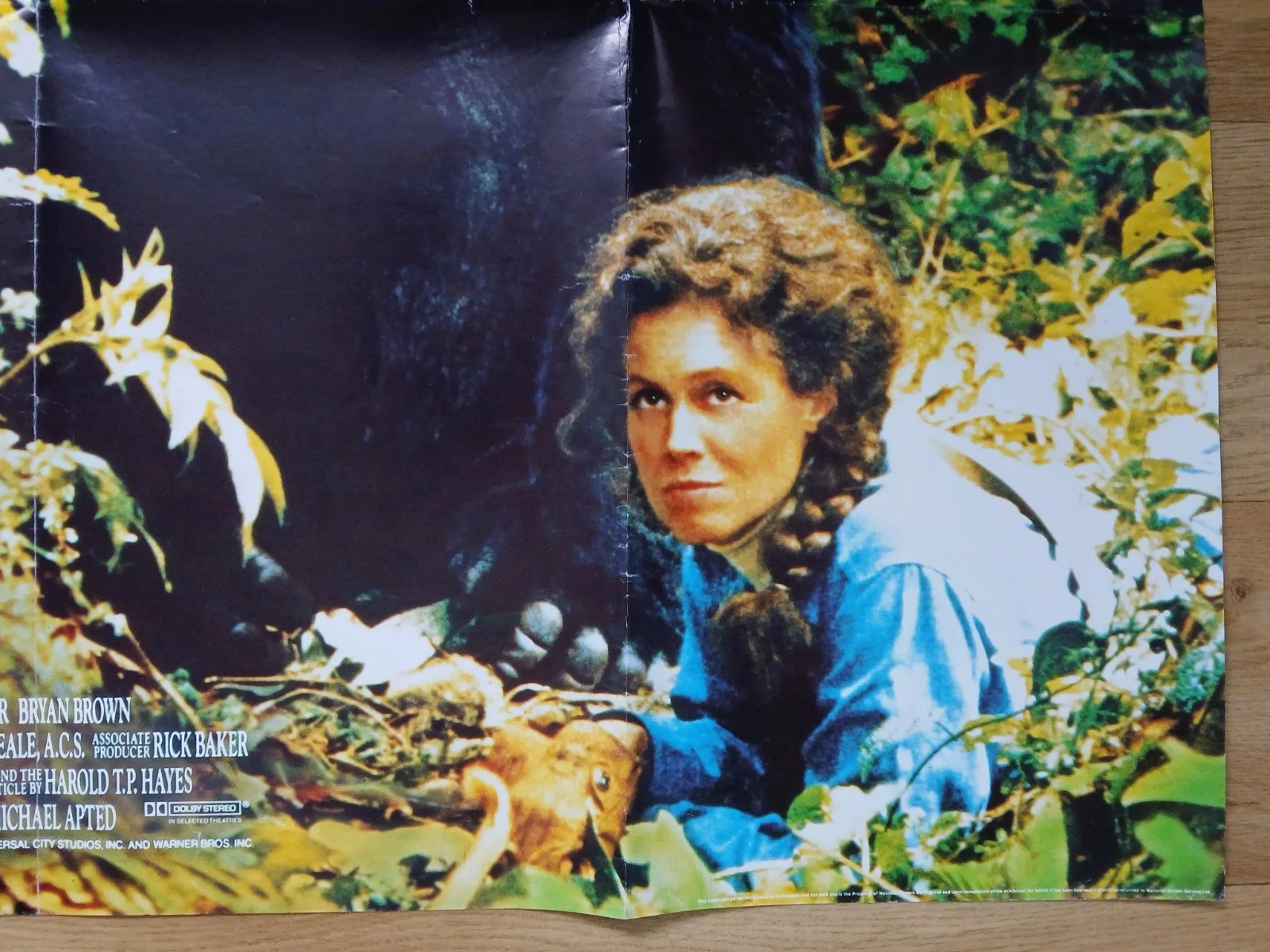 GORILLAS IN THE MIST (1988) original UK quad poster - Sigourney Weaver, изображение 5