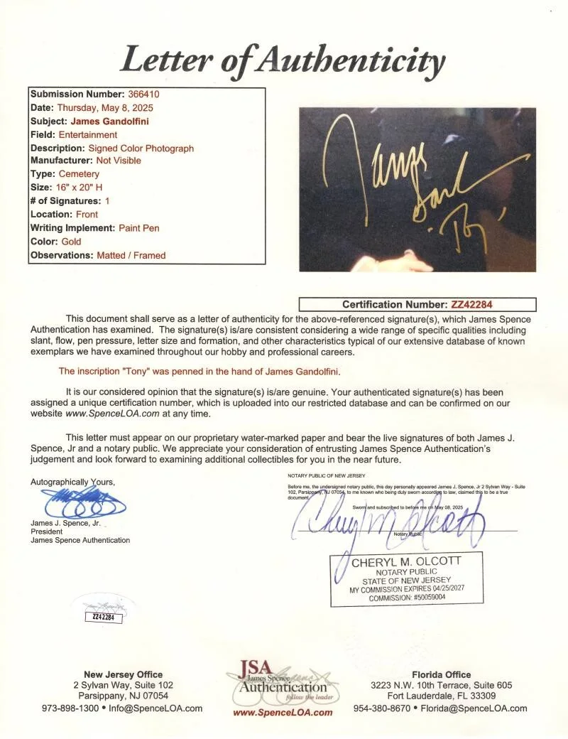 James Gandolfini — James Gandolfini Signed Autograph Framed 16x20 Photo Tony Soprano w/ JSA COA, изображение 4