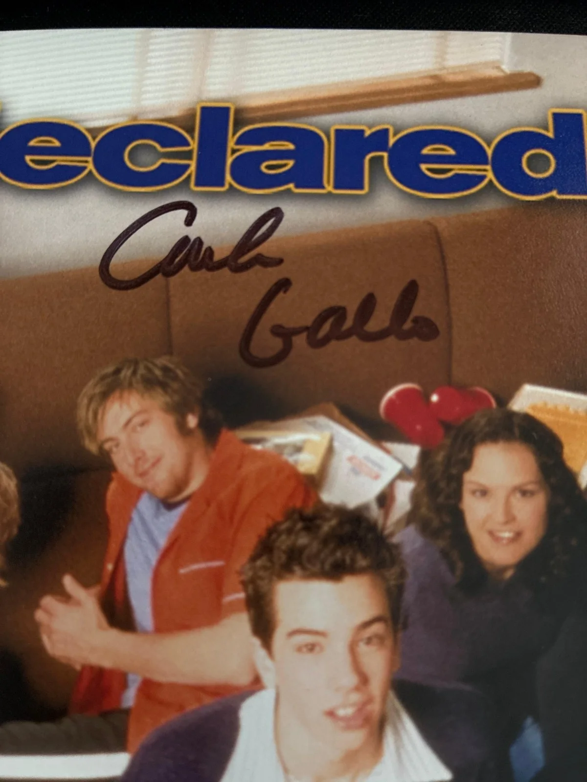 Freaks and Geeks + Undeclared Cast Signed Poster (14+ Signatures) Rare Early, image 3