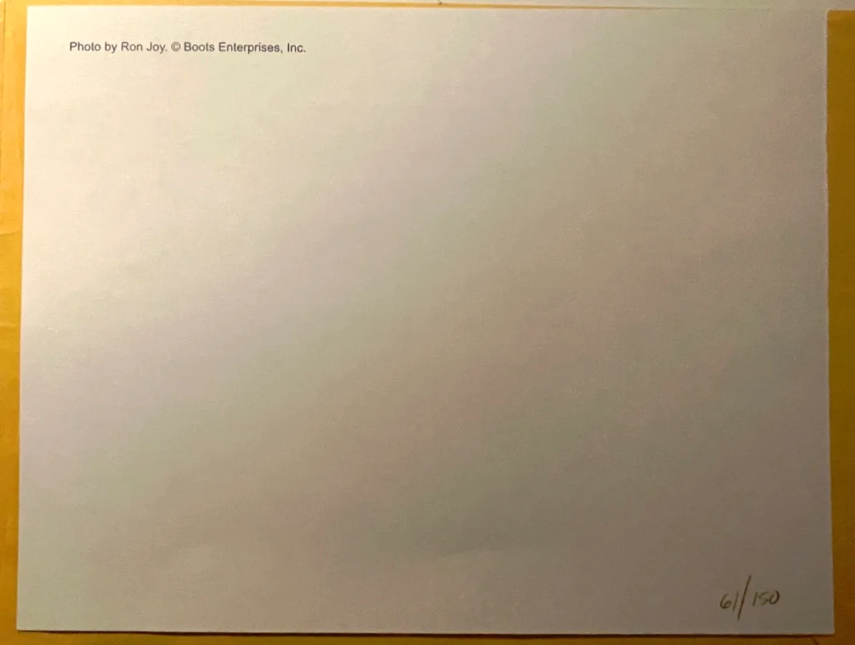 RARE SIGNED Nancy Sinatra Promotional 8.5x11 Photo Ron Joy Numbered USED GOOD, изображение 3