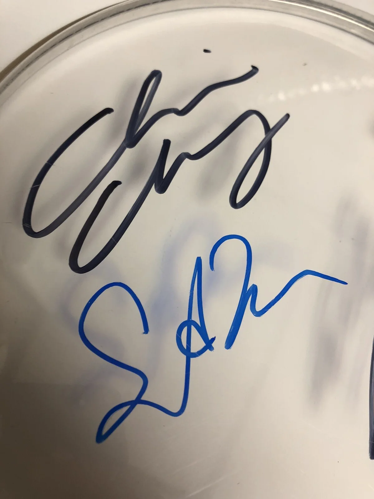 JANE’S ADDICTION SIGNED AUTOGRAPHED DRUMHEAD COMPLETE EXACT PROOF RARE PERRY + 3, image 2