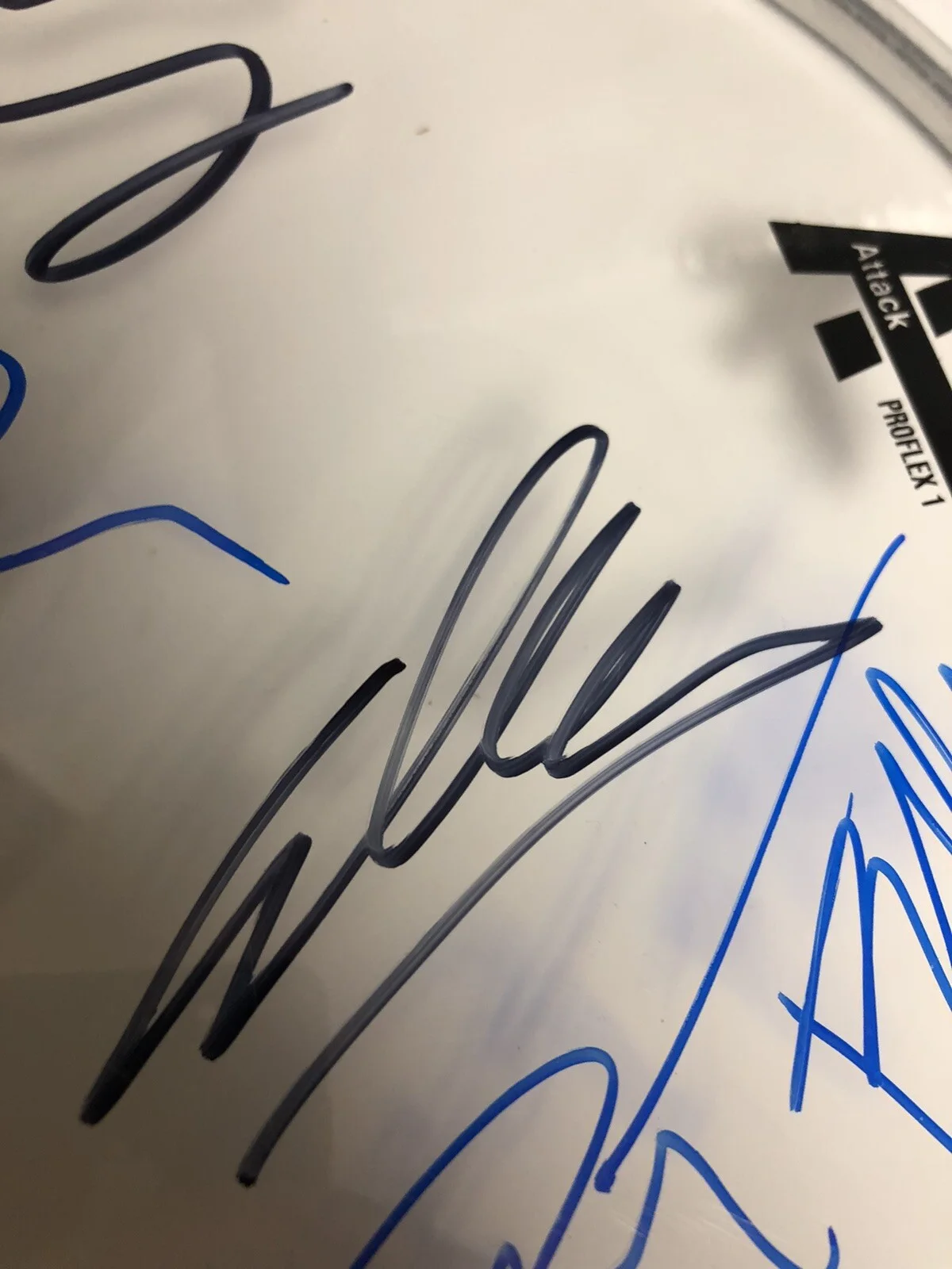 JANE’S ADDICTION SIGNED AUTOGRAPHED DRUMHEAD COMPLETE EXACT PROOF RARE PERRY + 3, image 3