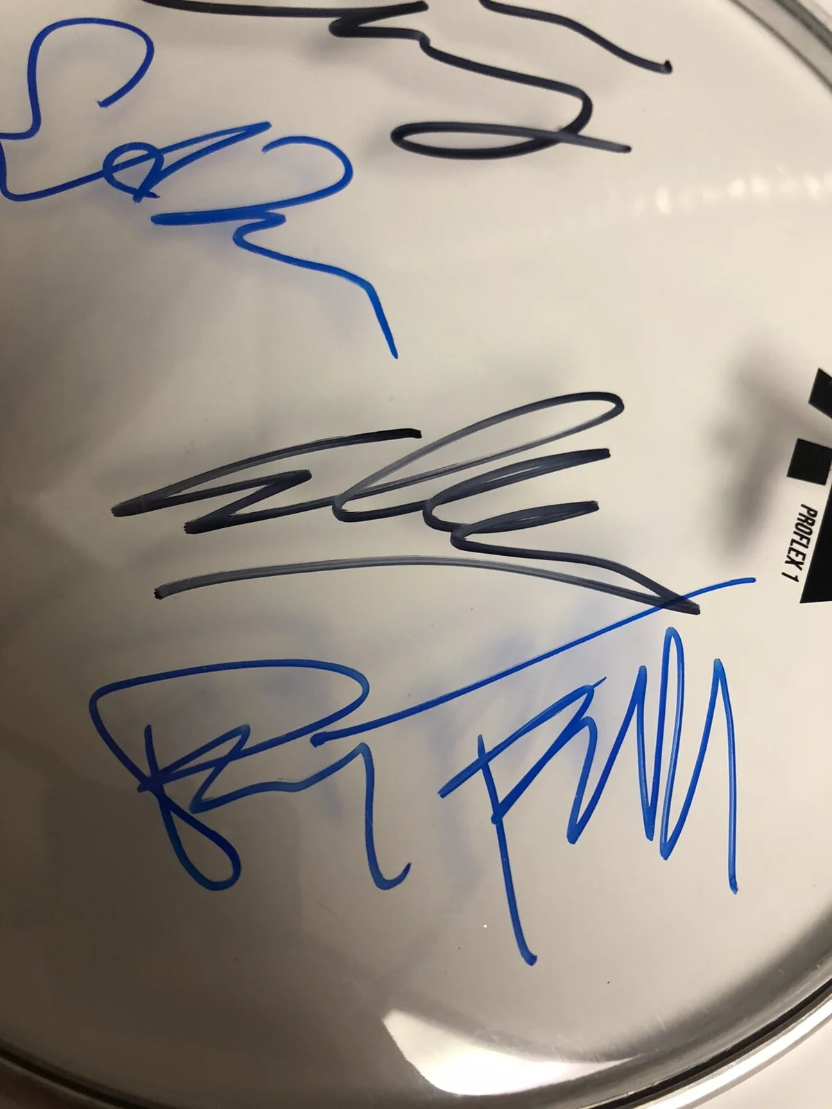 JANE’S ADDICTION SIGNED AUTOGRAPHED DRUMHEAD COMPLETE EXACT PROOF RARE PERRY + 3, image 4