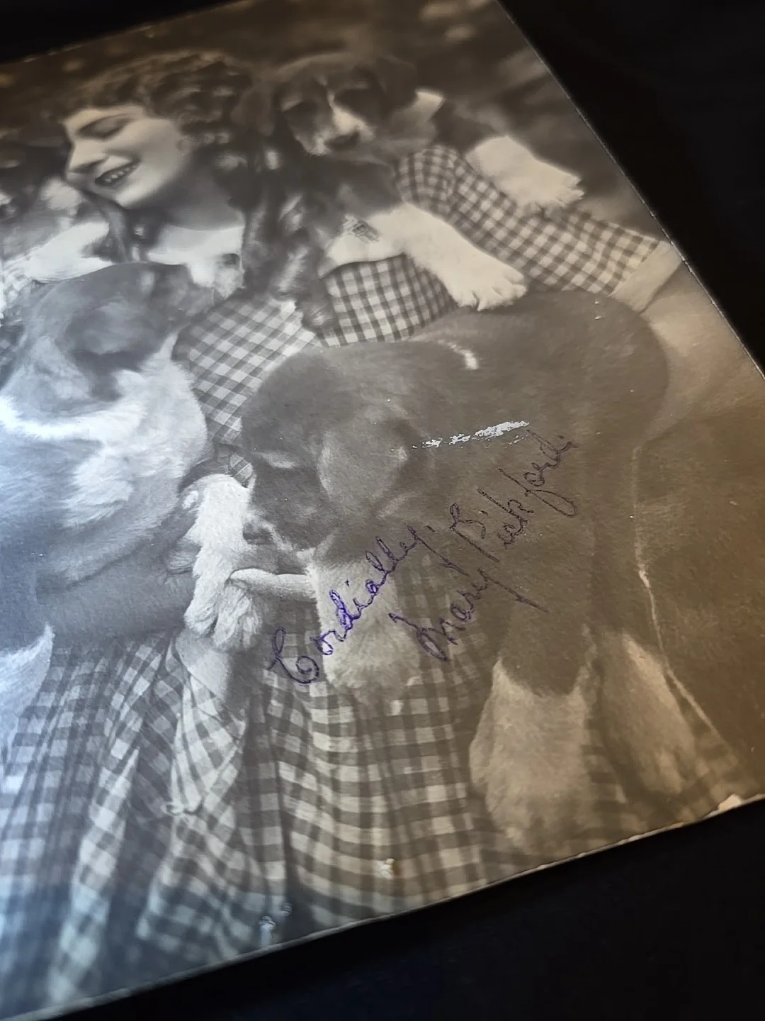 Mary Pickford — Mary Pickford Autograph B&W 6 1/2" x 8 1/2" Photo HAND SIGNED With Dogs Rahmin, изображение 3
