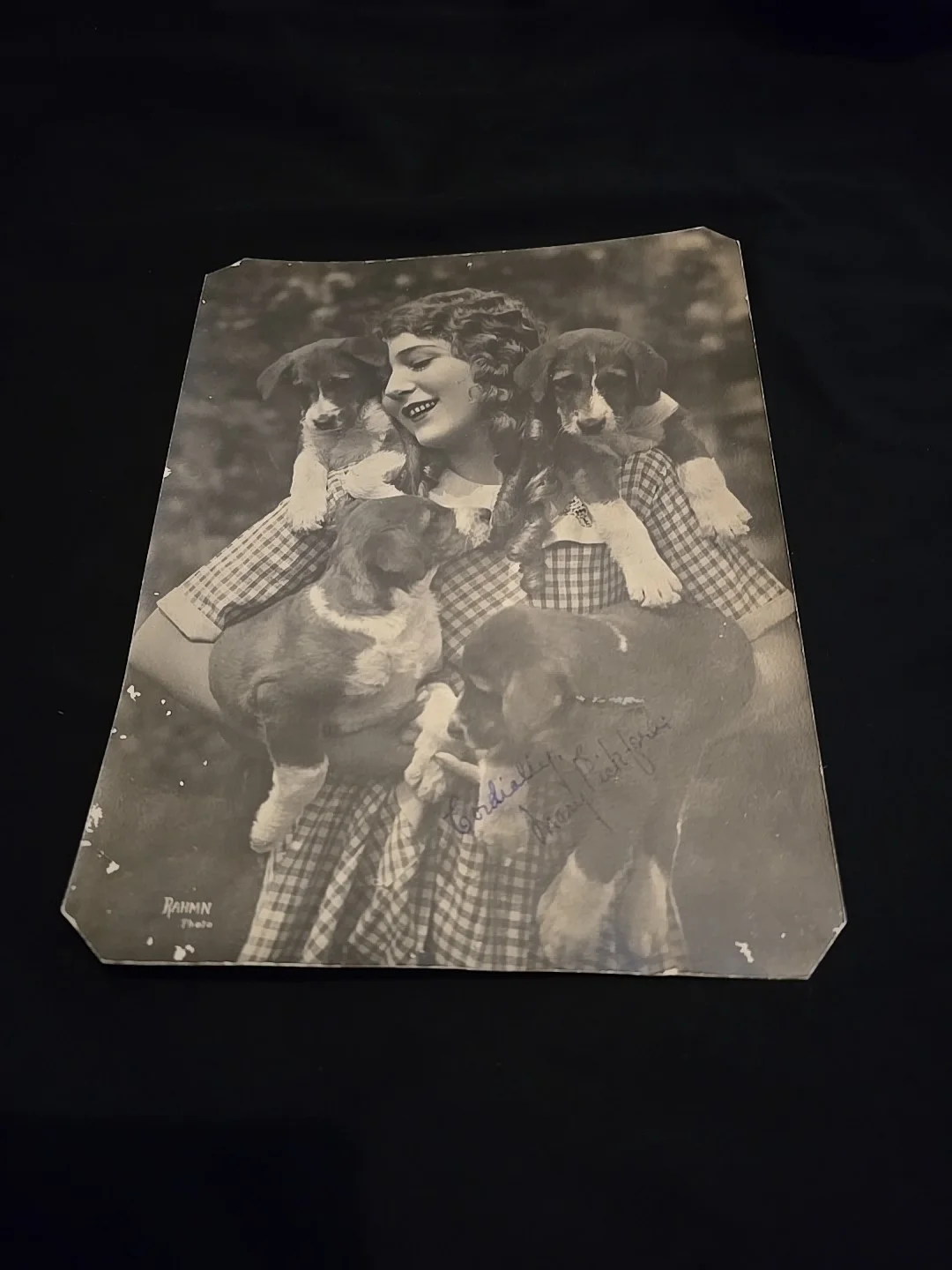 Mary Pickford — Mary Pickford Autograph B&W 6 1/2" x 8 1/2" Photo HAND SIGNED With Dogs Rahmin, изображение 4