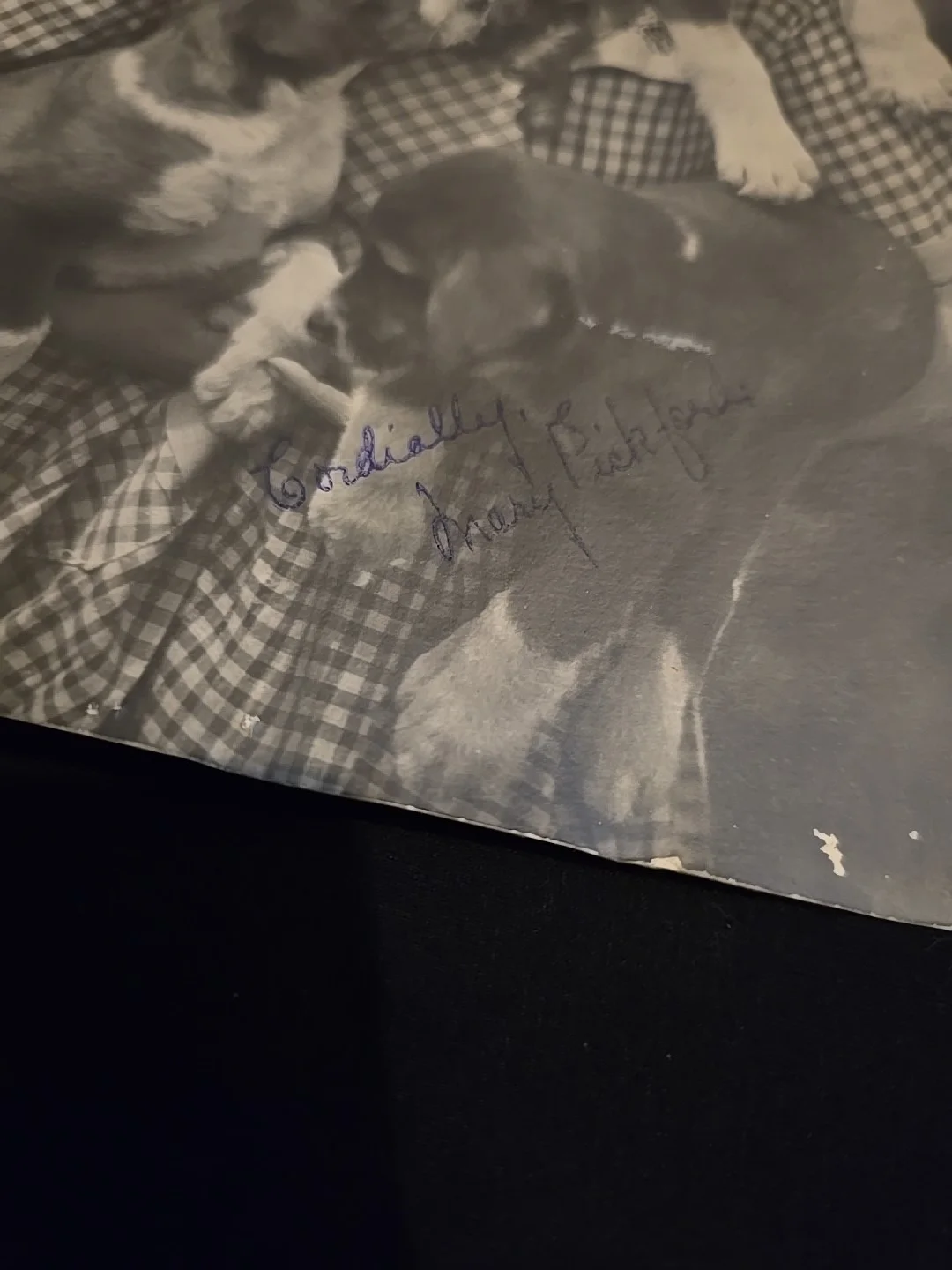 Mary Pickford — Mary Pickford Autograph B&W 6 1/2" x 8 1/2" Photo HAND SIGNED With Dogs Rahmin, изображение 5
