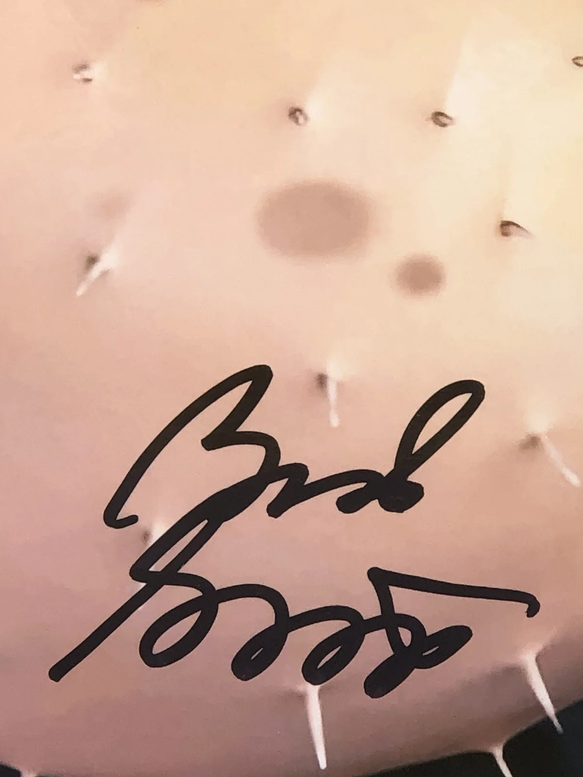 Brad Garrett — BRAD GARRETT SIGNED 8X10 VOICE BLOAT PUFFERFISH MOVIE FINDING NEMO & DORY JSA, image 3